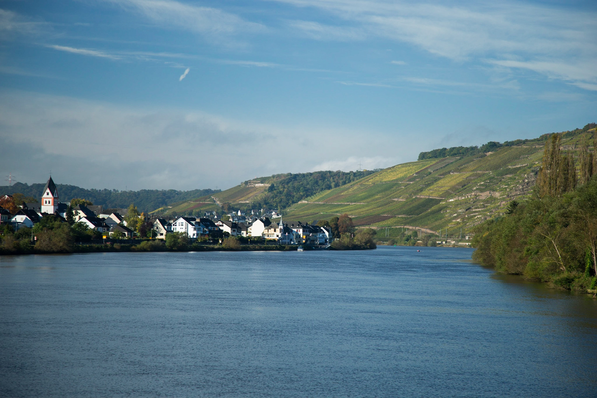 The Banks Of The Rhine
