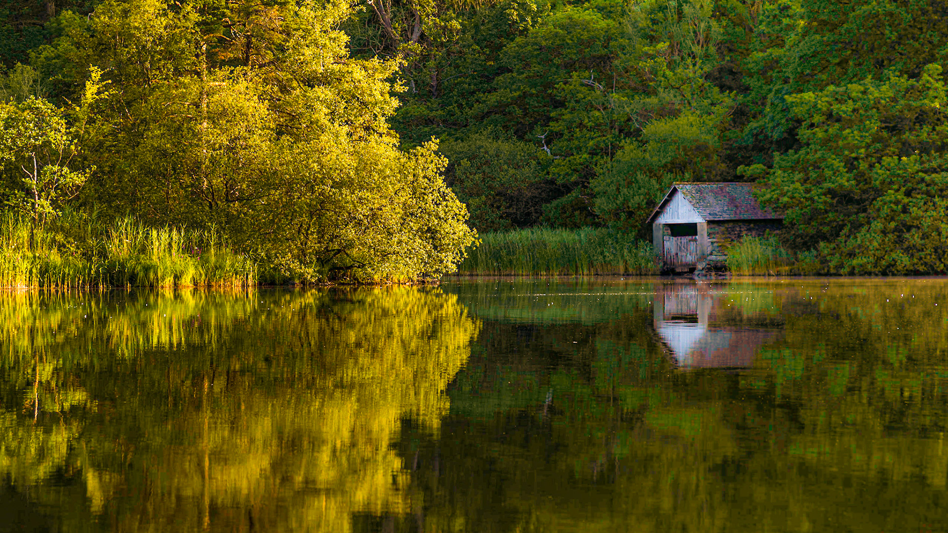 Early Morning At Rydal Water