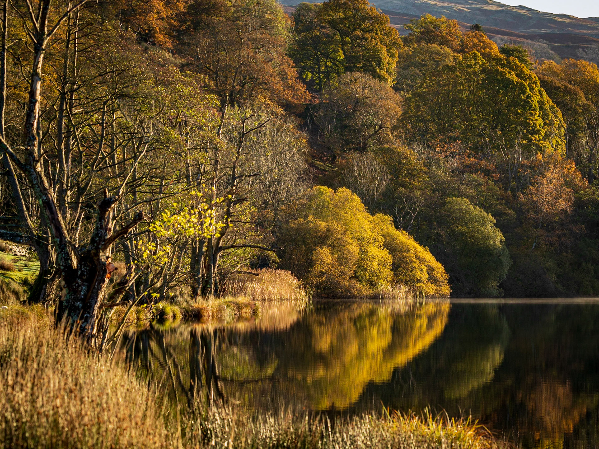 Rydal Water