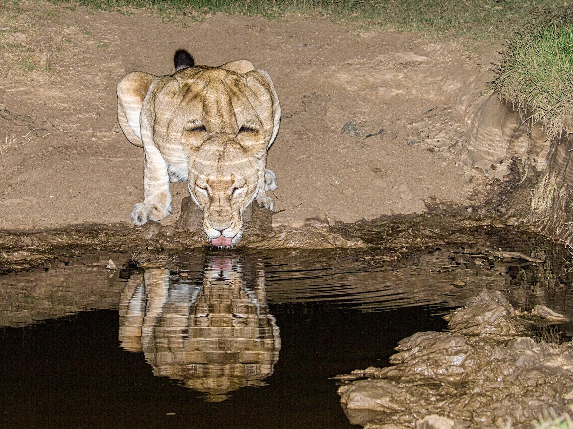Taken at night with flash
