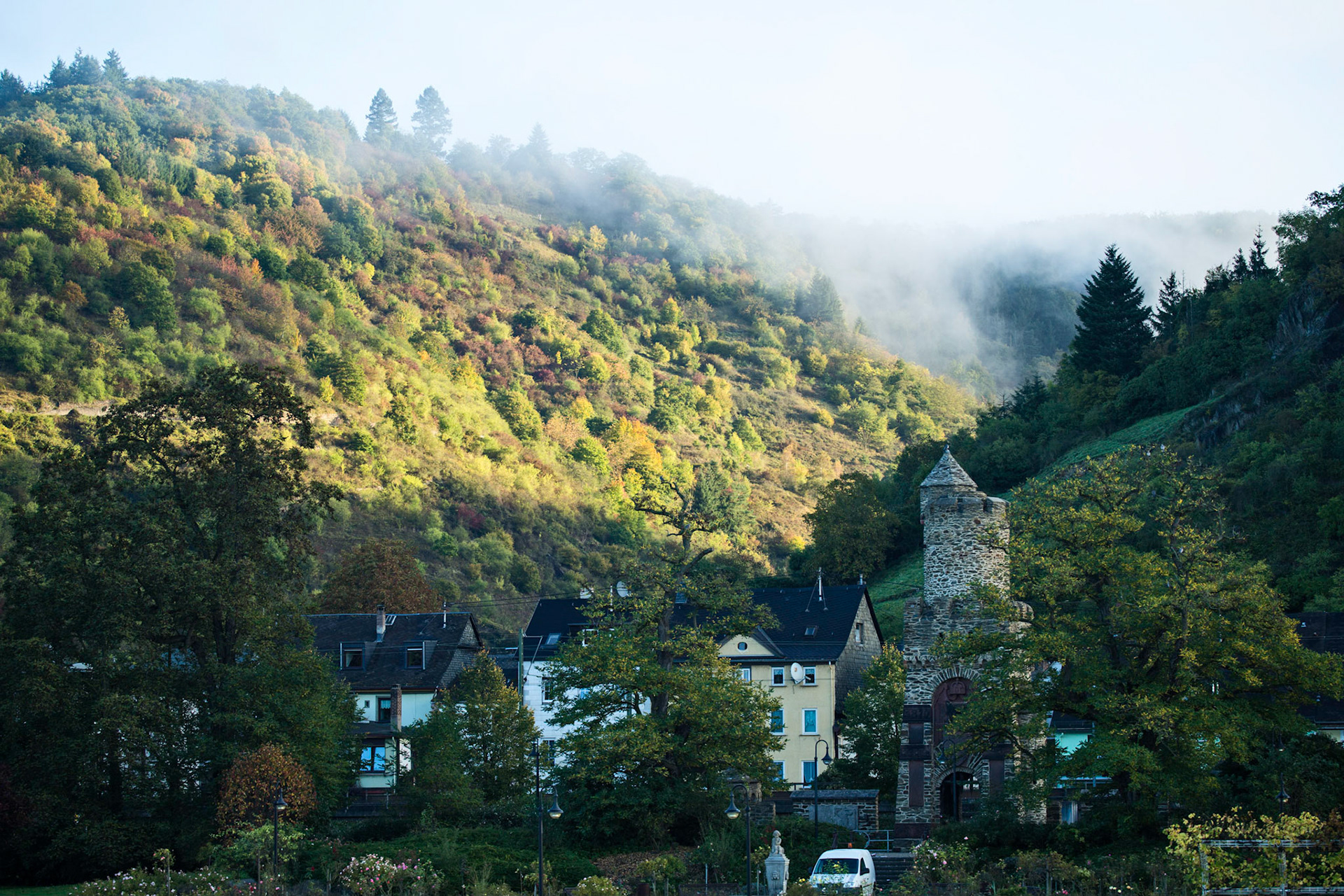 A Misty Morning At Boppard, Germany