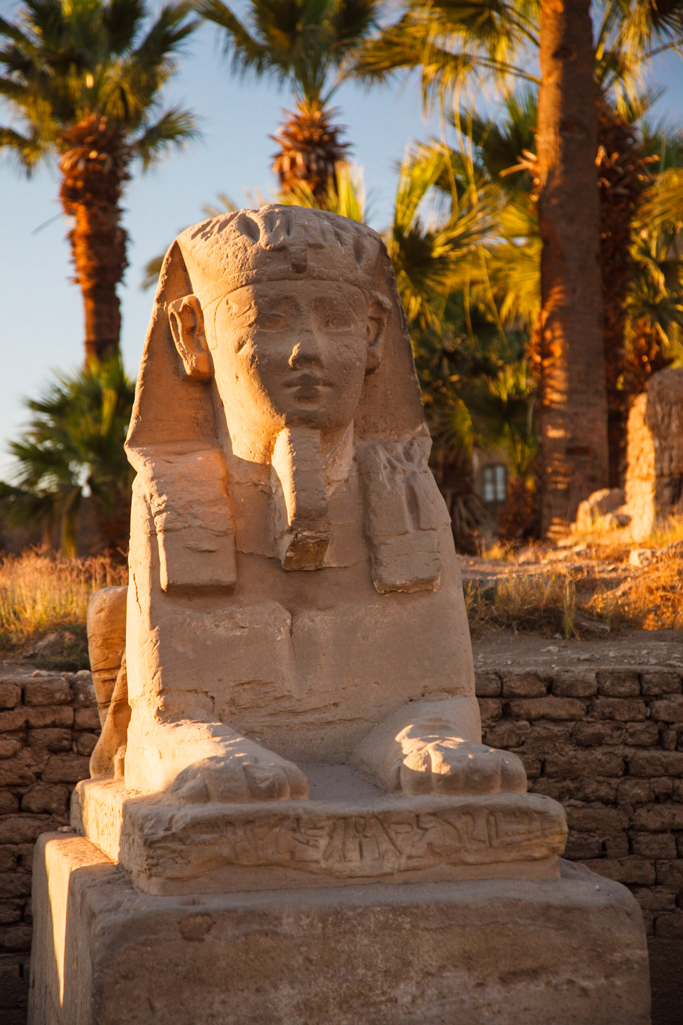 Statue At The Temple Of Amun-Ra, Karnak