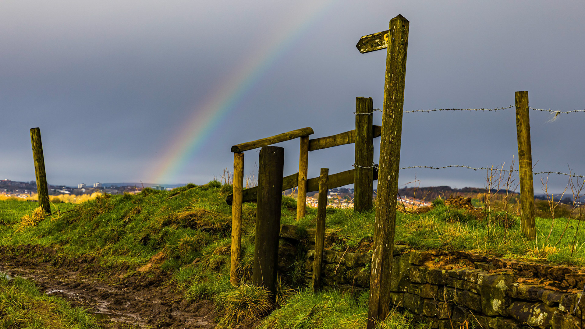 Rainbow Over Lily Lanes