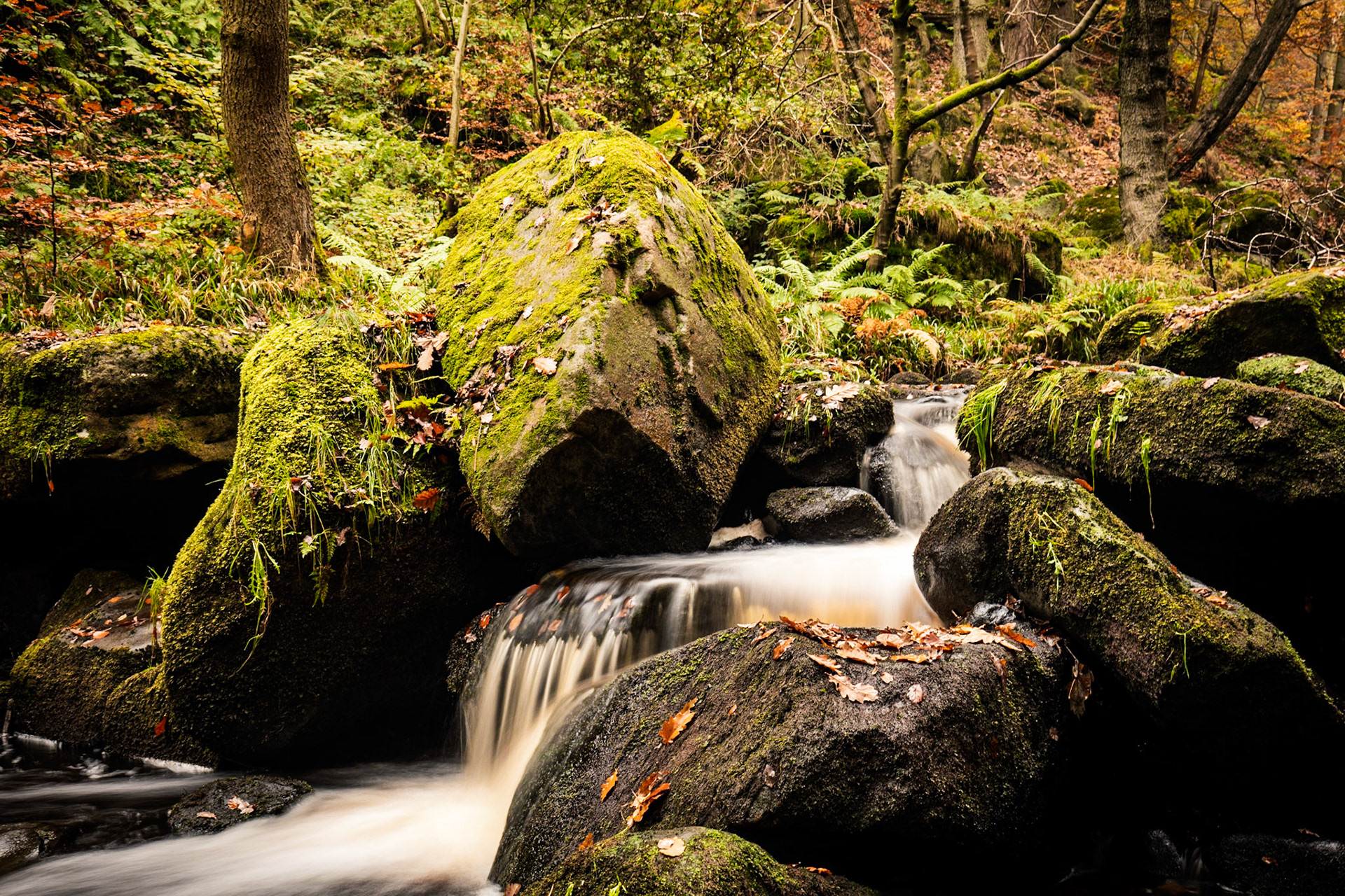 Padley Gorge, Derbyshire