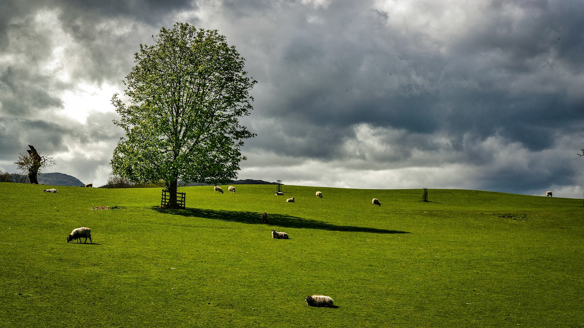Pastoral Scene at Windermere