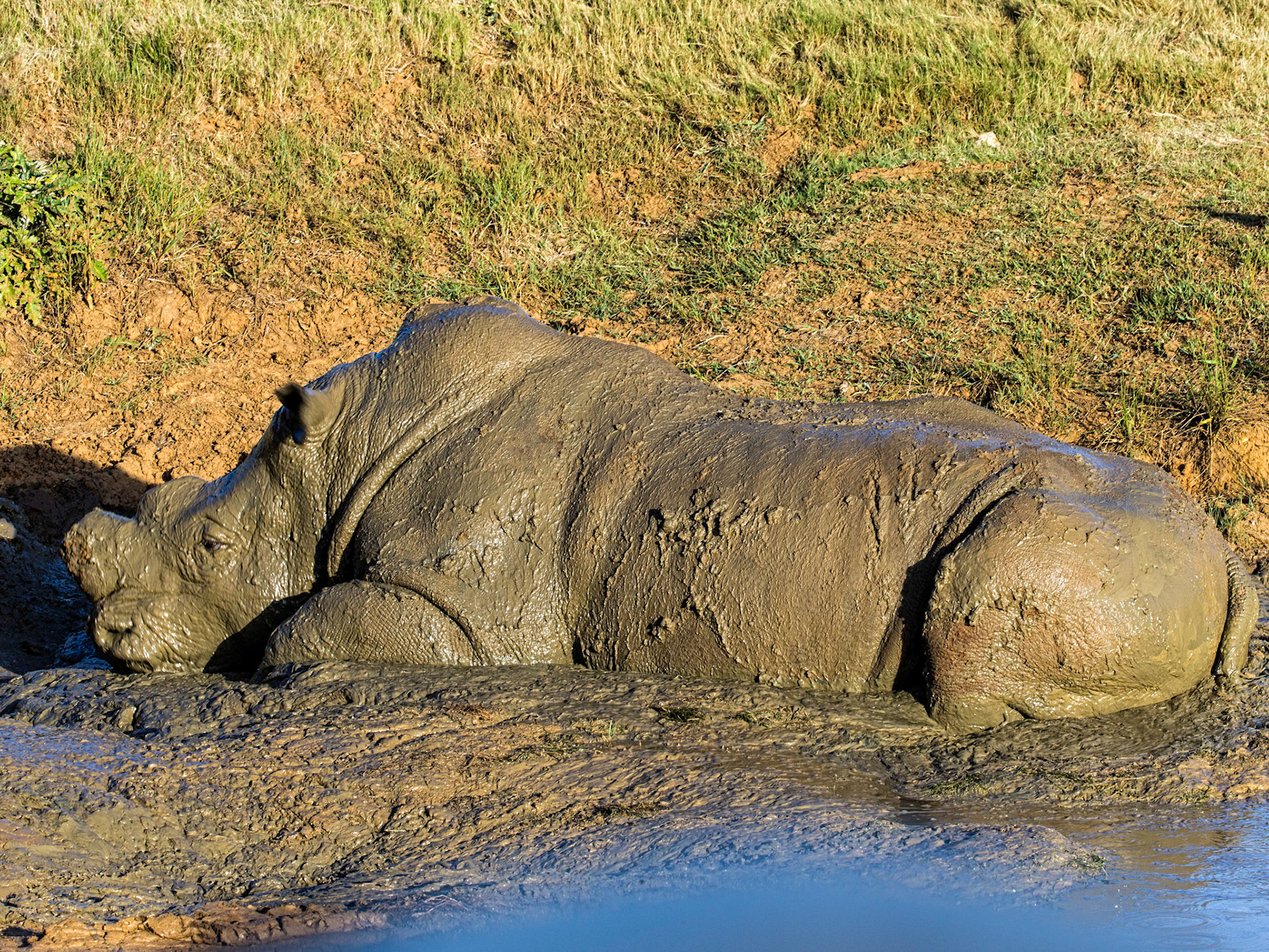 And peace and quiet now the others have gone.