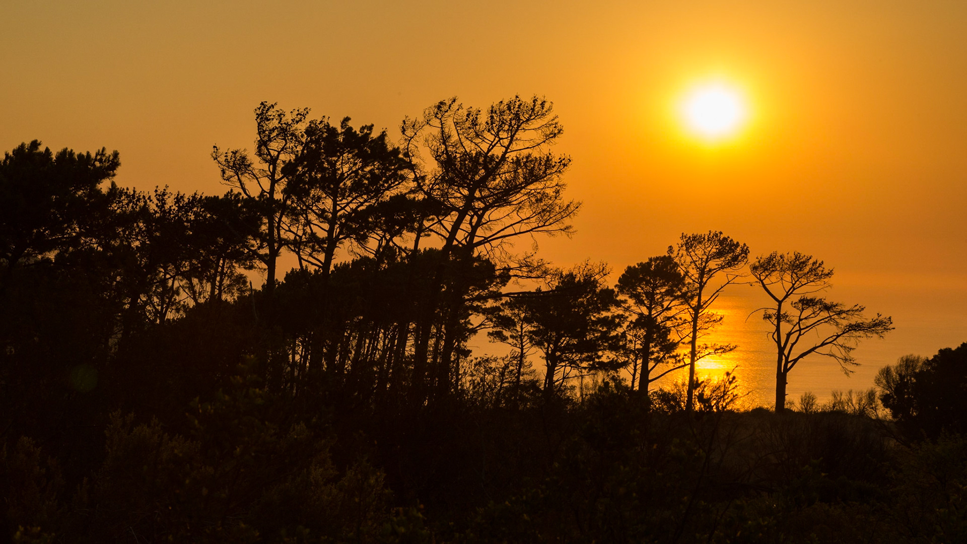 Signal flags were used to communicate weather warnings as well as anchoring instructions to visiting ships in order to ensure that they prepared adequately for stormy weather while in the bay. Similarly, ships could use flags to signal for assistance if, for example, an anchor line parted during a storm.It is known for the Noon Gun that is operated there by the South African Navy and South African Astronomical Observatory. In 1836, a time ball was set up at the Cape Town observatory, however it was not visible to ships in the harbour, so a second time ball was erected on Signal Hill in order to relay the precise moment of 1pm Cape Mean Time. In this way ships in the bay were able to check their marine chronometers. The daily practice of dropping of the ball continued until 1934, when it was made redundant by radio signals.
