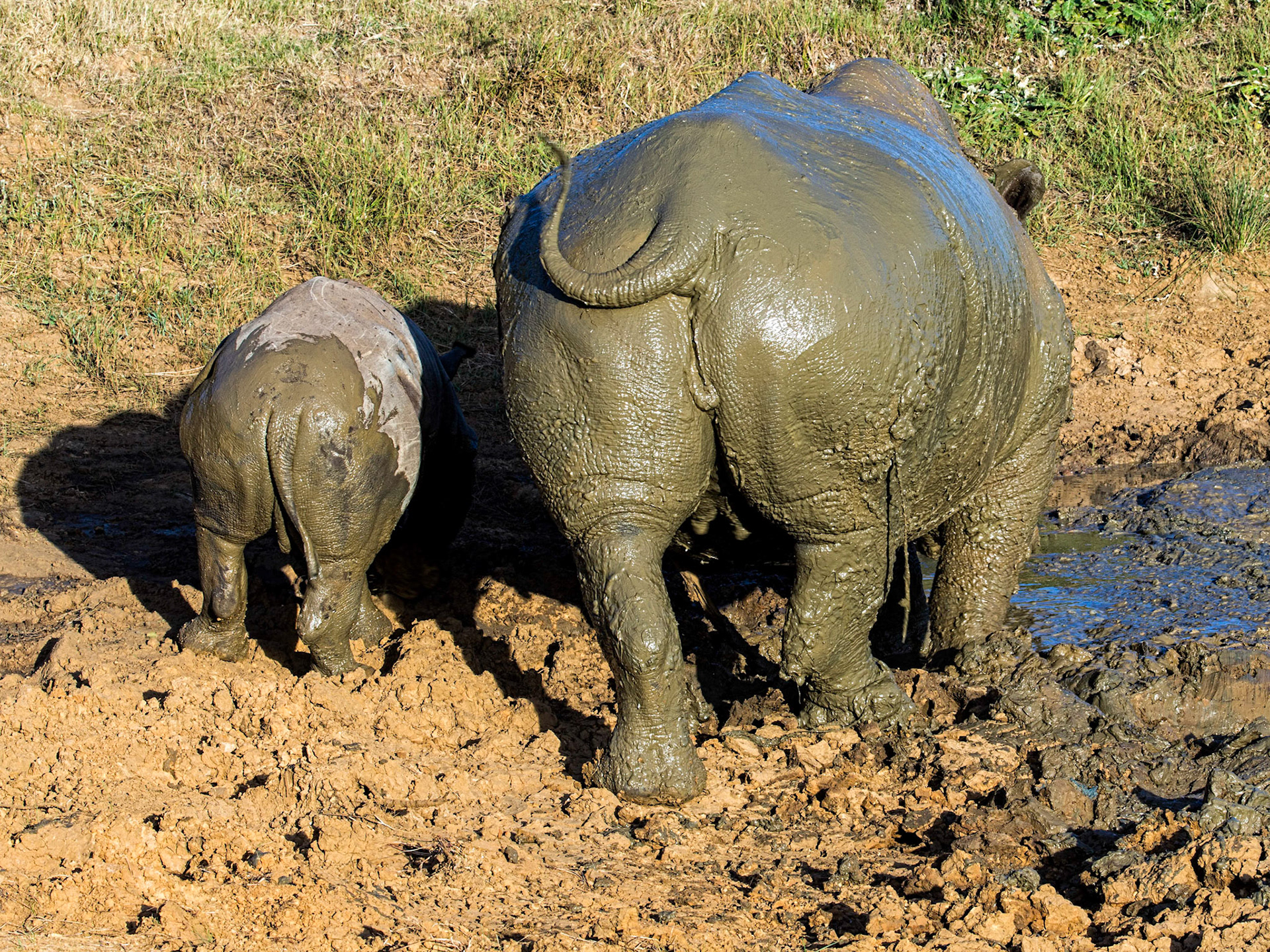 Does My Bum Look Big In This?
