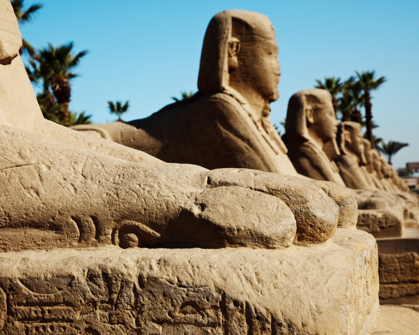 The Avenue Of The Sphinx At Luxor Egypt