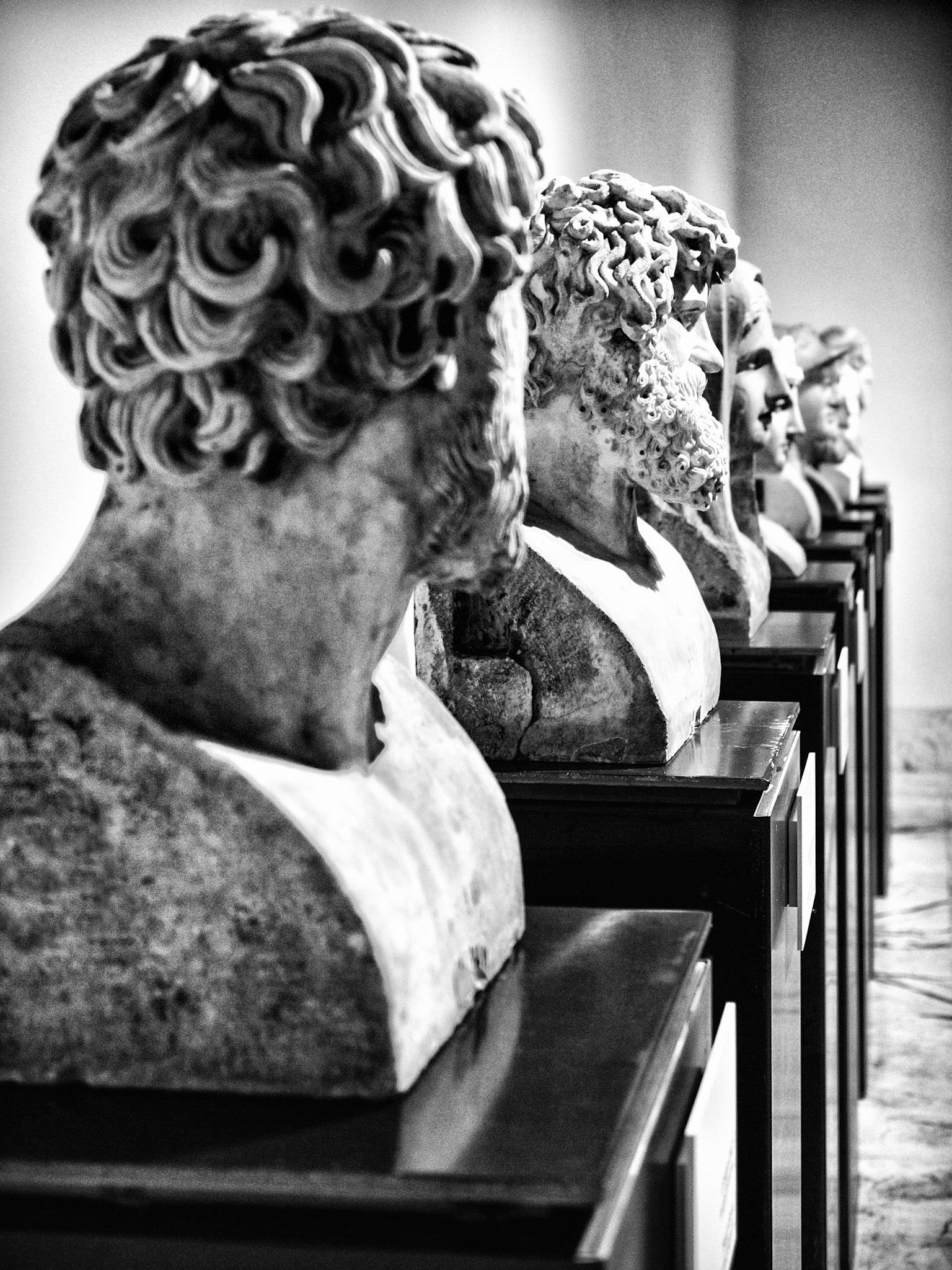 Busts From The Museum At Naples