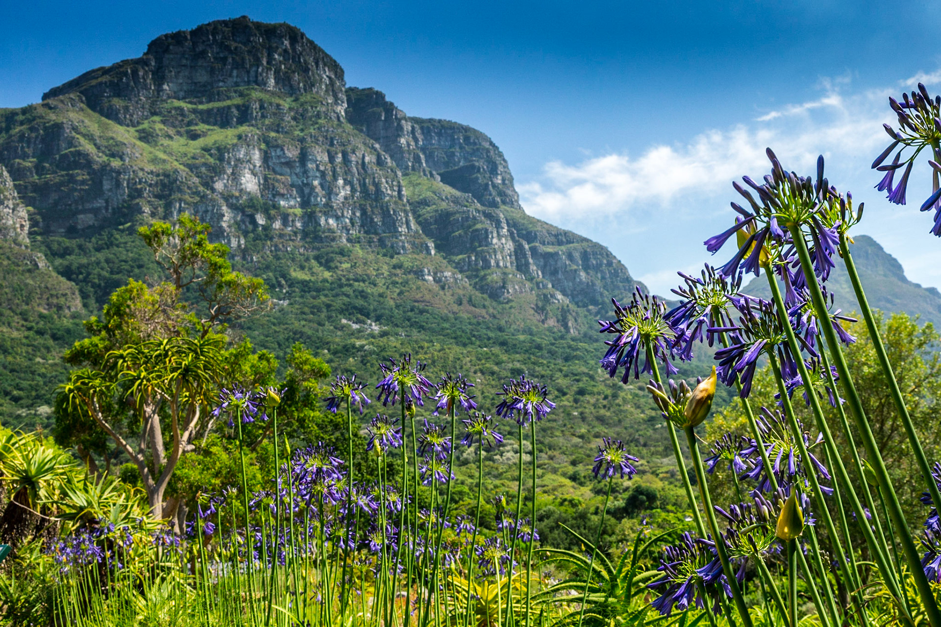 Fernwood Peak is a 3,290 ft mountain peak in the Table Mountain Range in Western Cape, South Africa. It ranks as the 452nd highest mountain in Western Cape and the 3207th highest mountain in South Africa.