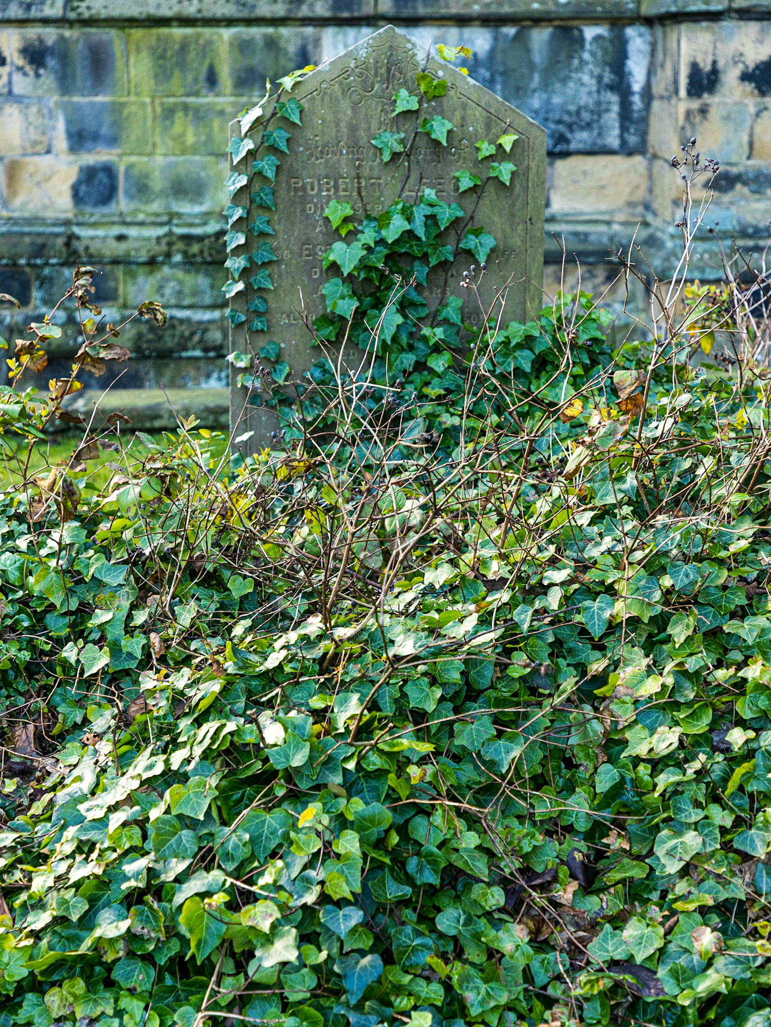 Overgrown gravestone in the churchyard at the Church of St John the Baptist in Tideswell