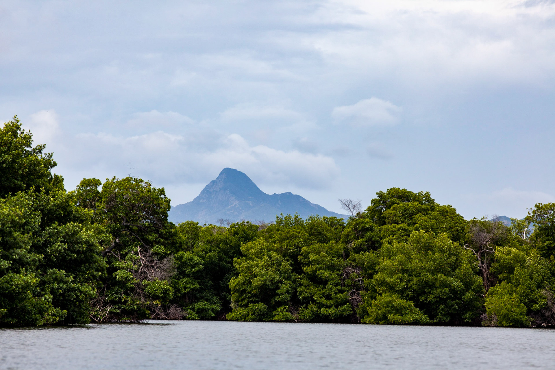 The Lakes And Mountains Of Mariusa National Park Venezuela