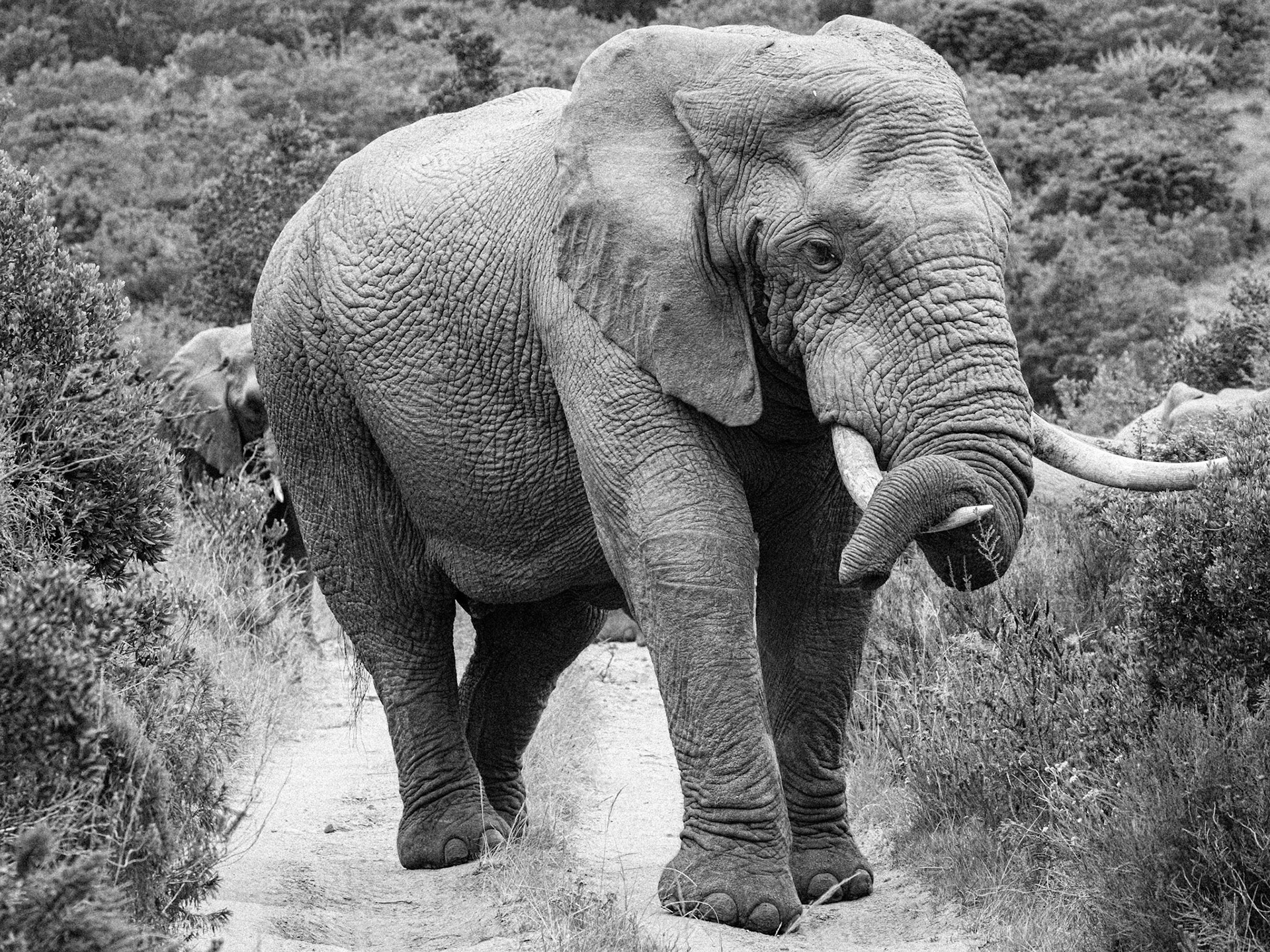 This Trunk Gets Heavier Every Day