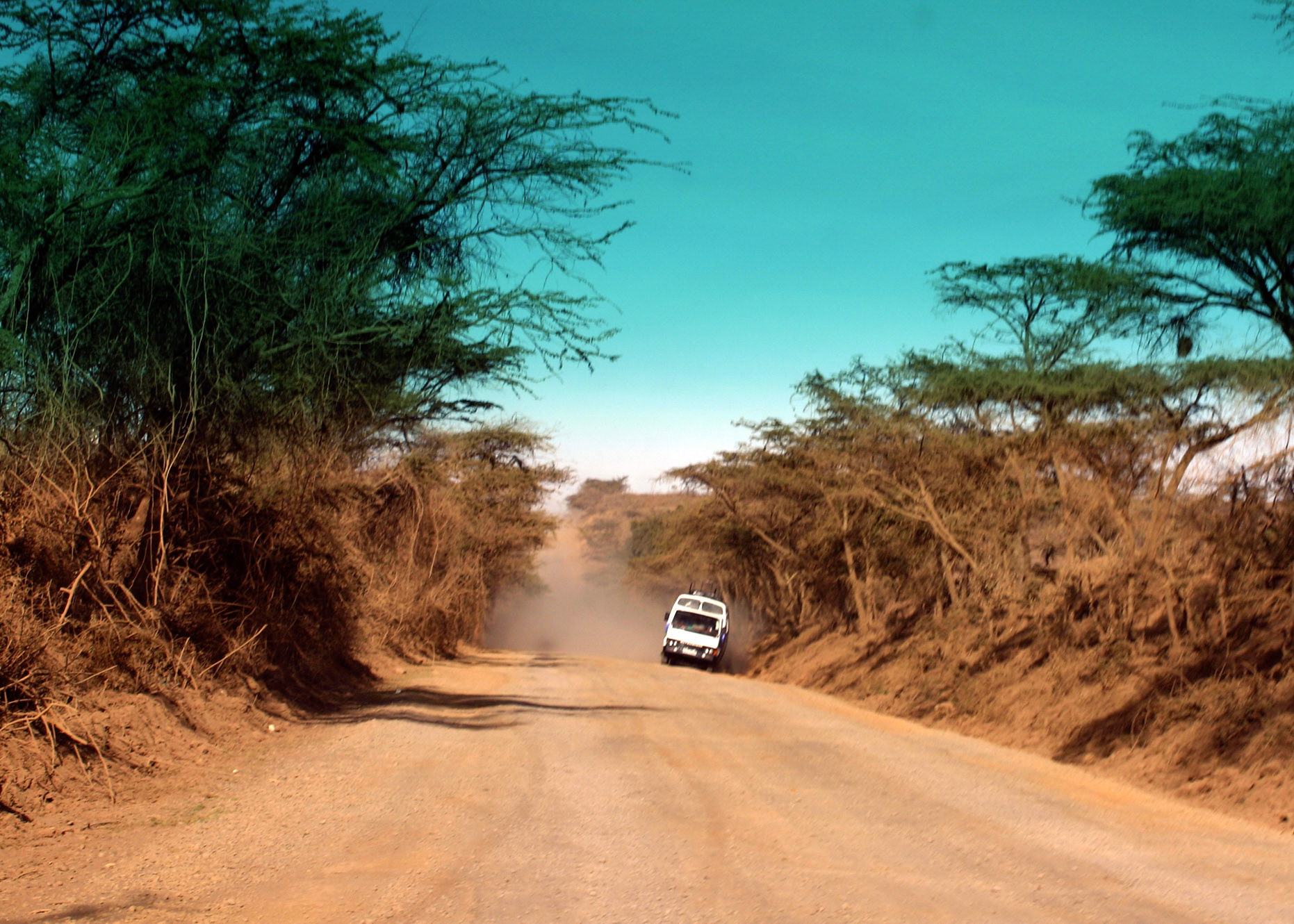 Avoiding The Potholes