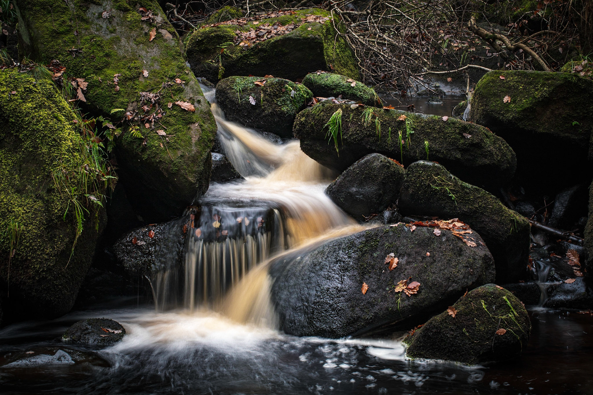 Padley Gorge, Derbyshire