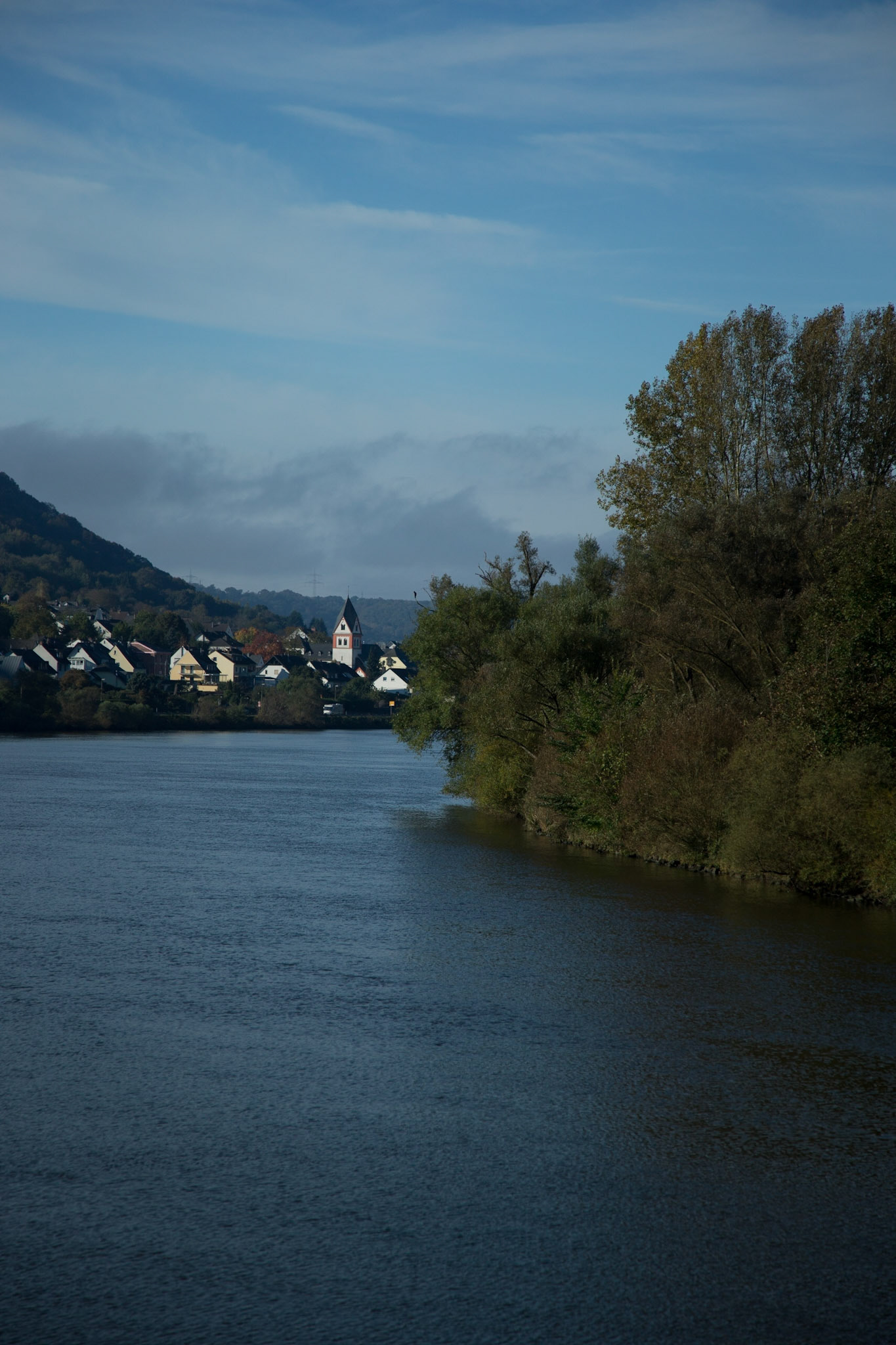 The Banks Of The Rhine