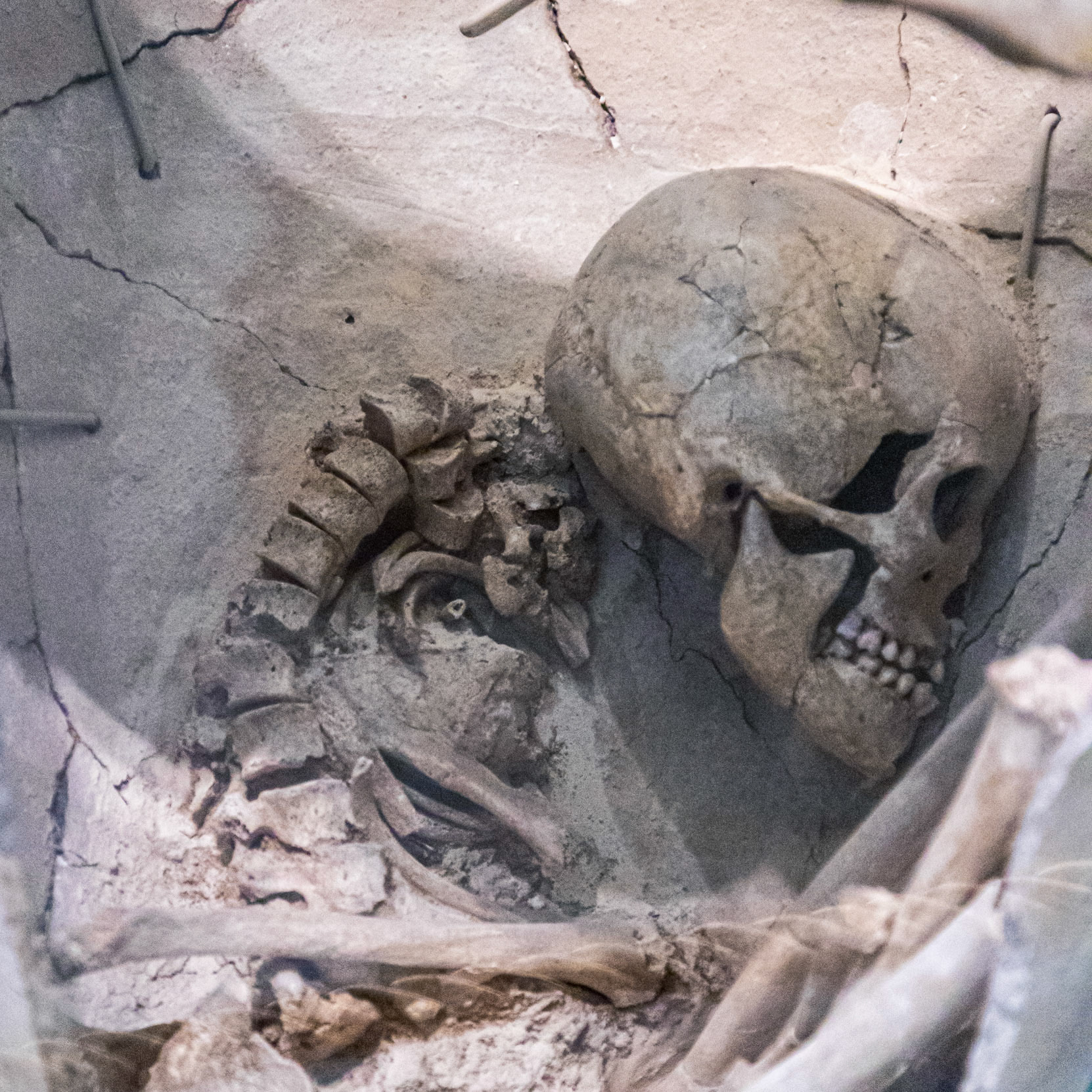 Skeleton Found Inside A Greek Urn