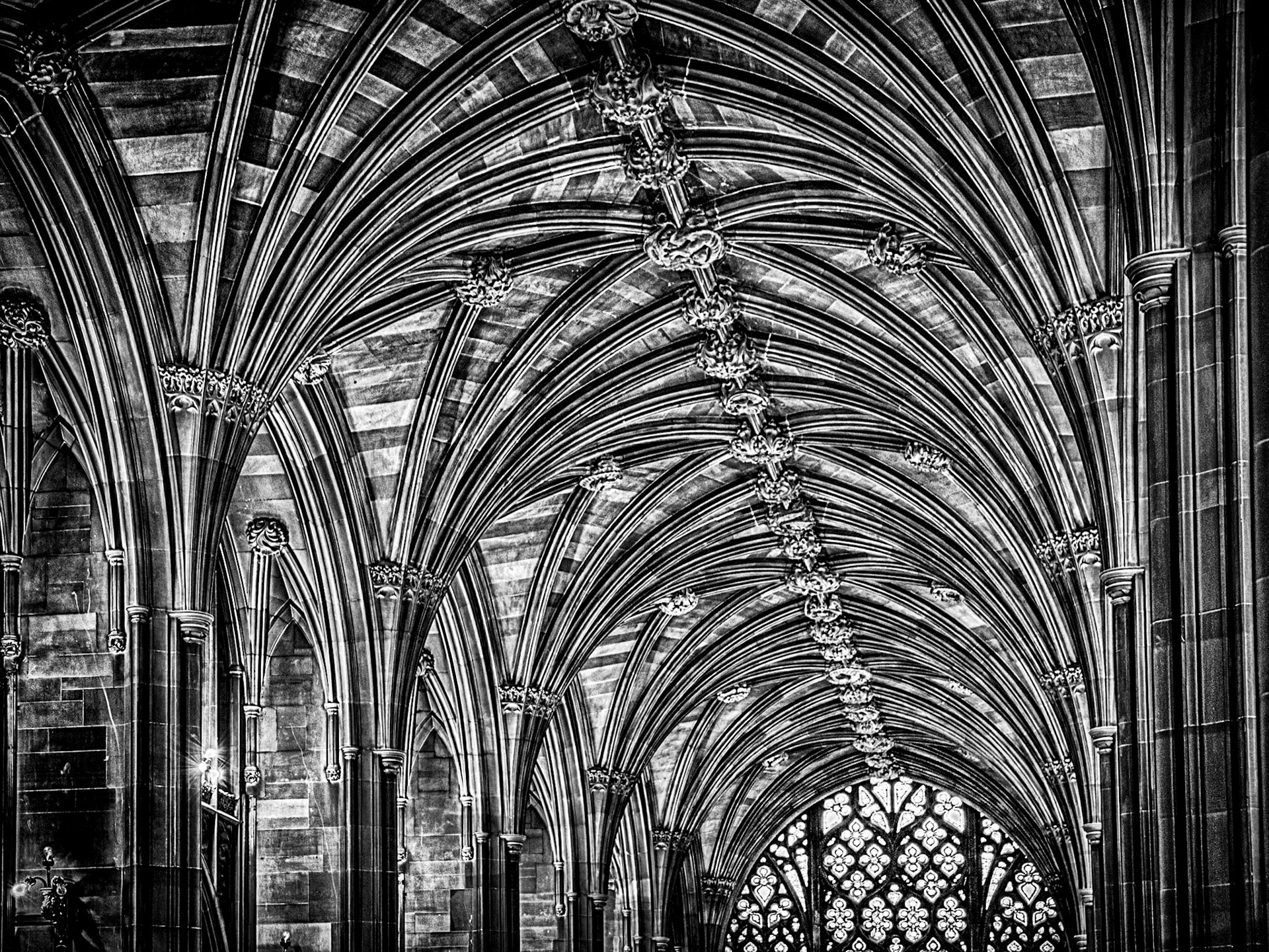 Vaulted Ceiling In John Rylands Library