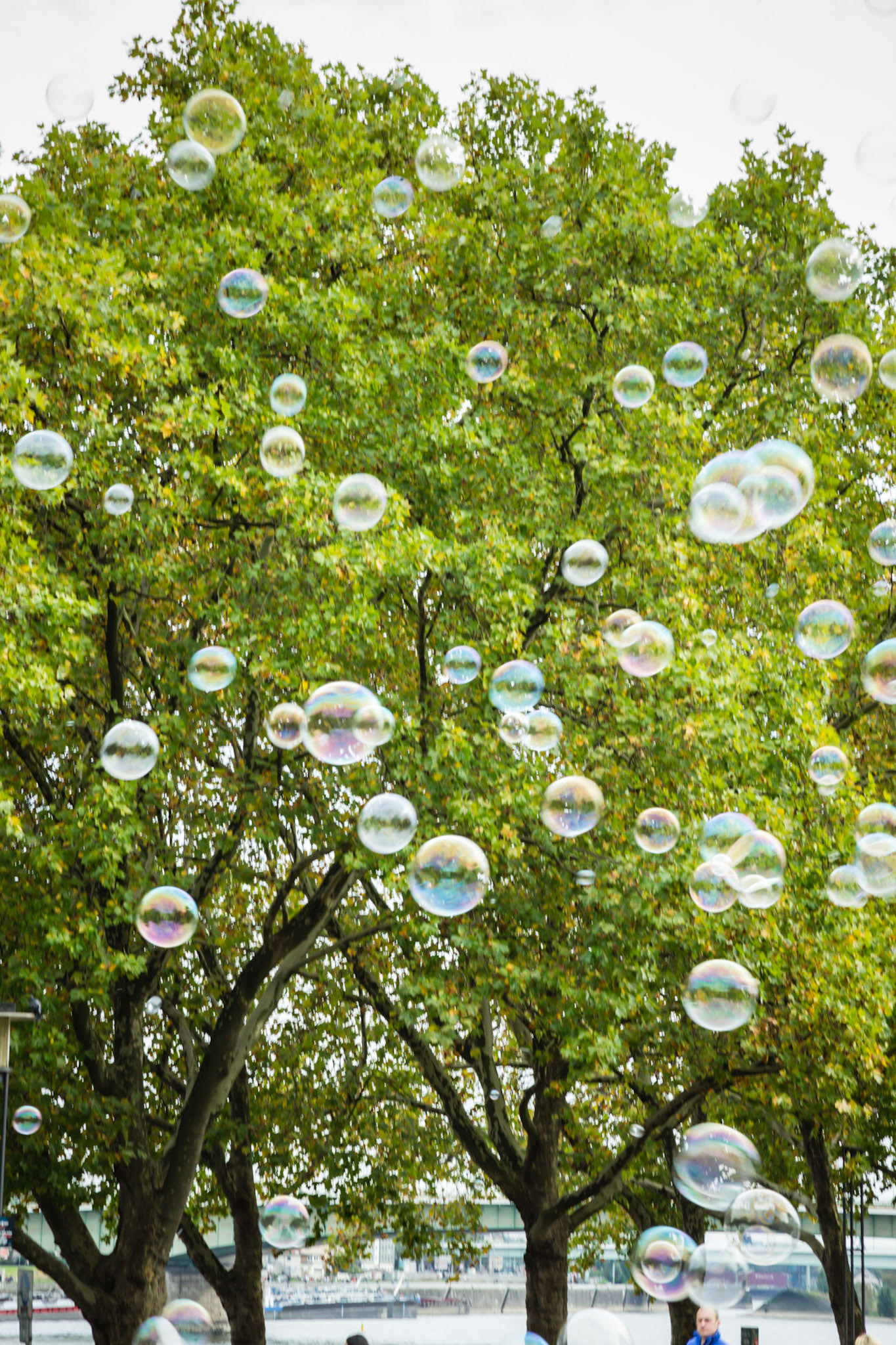 Bubbles In The Park At Cologne