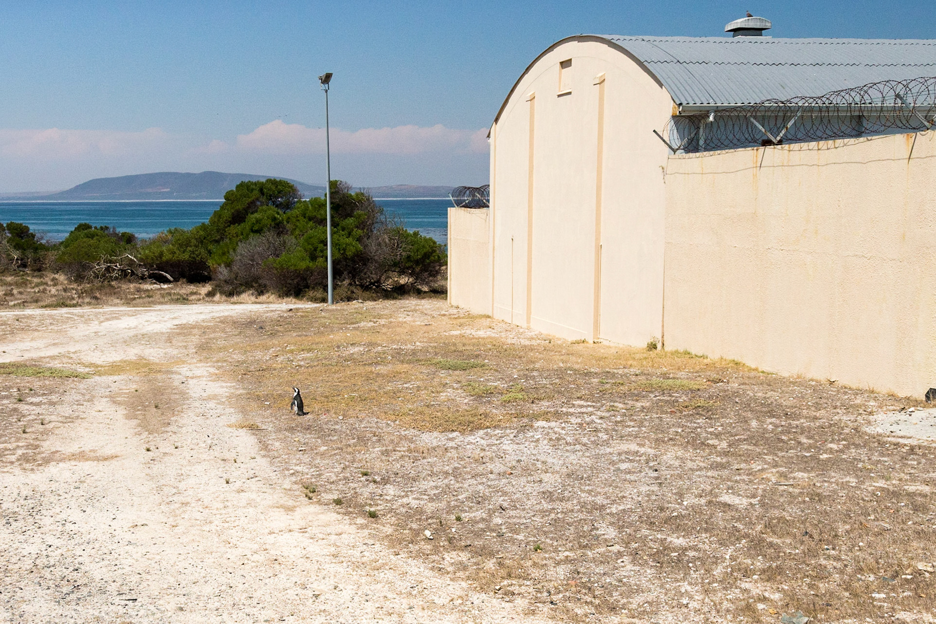Robben Island is an island in Table Bay, 6.9 km west of Cape Town, South Africa. Robben Island is roughly oval in shape, 3.3 km long north-south, and 1.9 km wide, with an area of 5.07 km². It is flat and only a few metres above sea level. Nobel Laureate and former President of South Africa Nelson Mandela was imprisoned there for 18 of the 27 years he served behind bars before the fall of apartheid. Robben Island is both a South African National Heritage Site as well as a UNESCO World Heritage Site. The Island was used as a prison for political prisoners and convicted criminals from 1961. It was a maximum security prison for political prisoners until 1991. The medium security prison for criminal prisoners was closed in 1996.