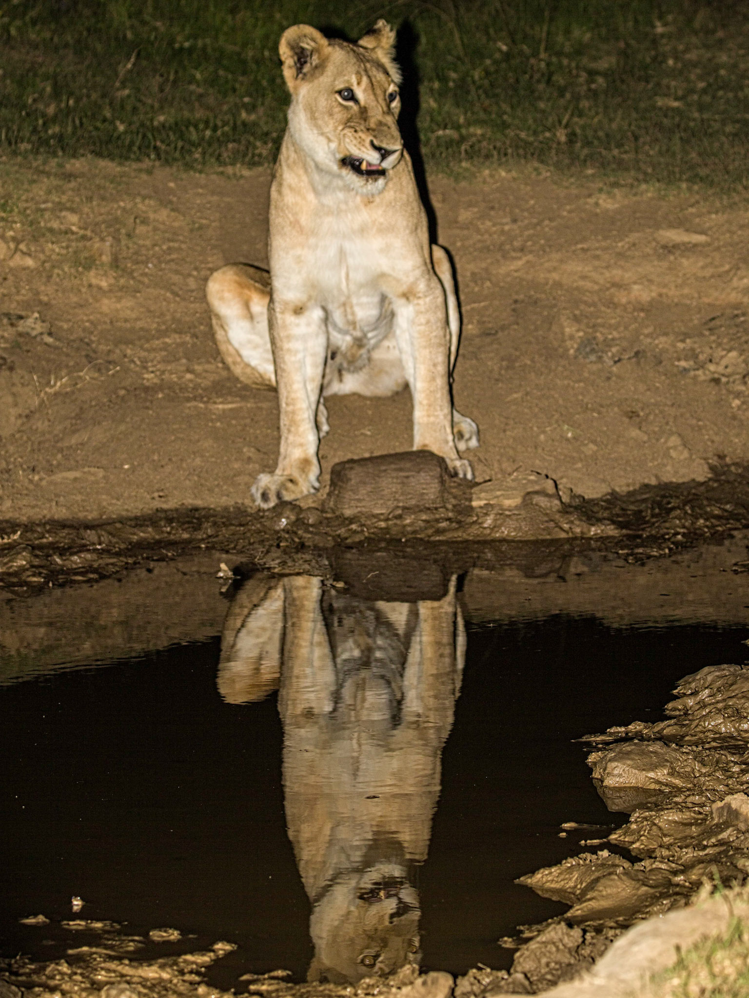 Taken at night with flash