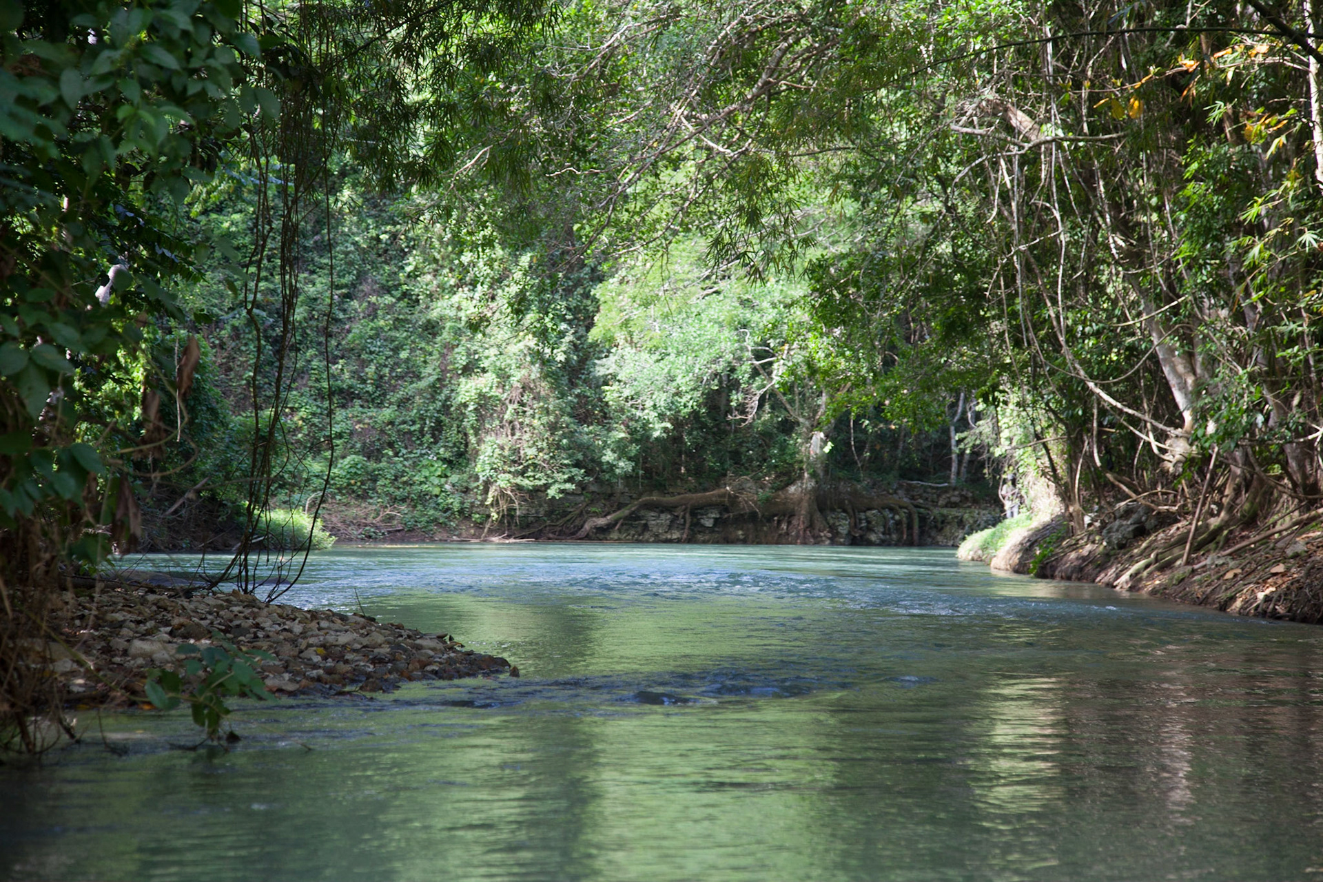 Rafting On The Martha Brae River