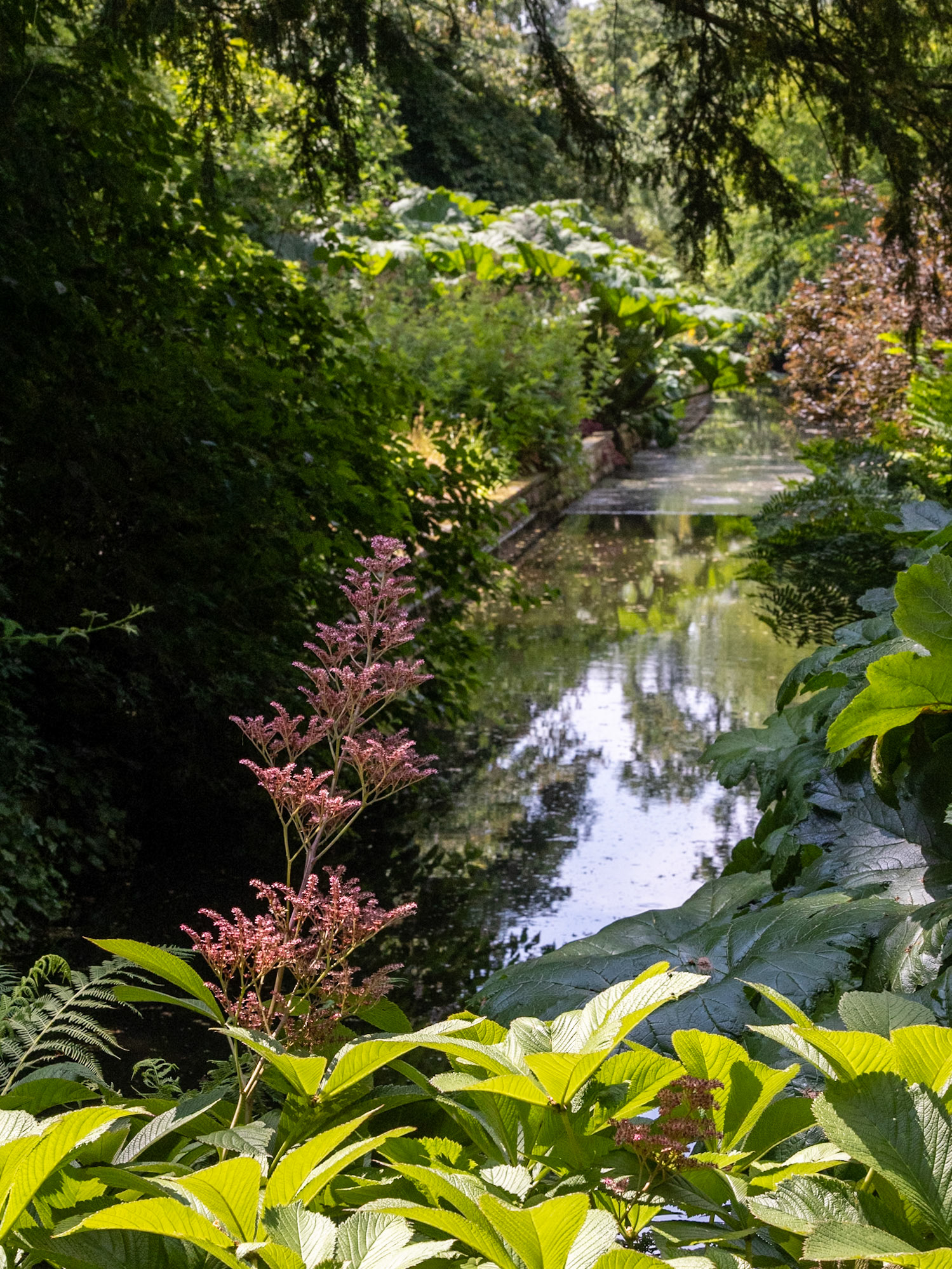Dunham Massey Gardens