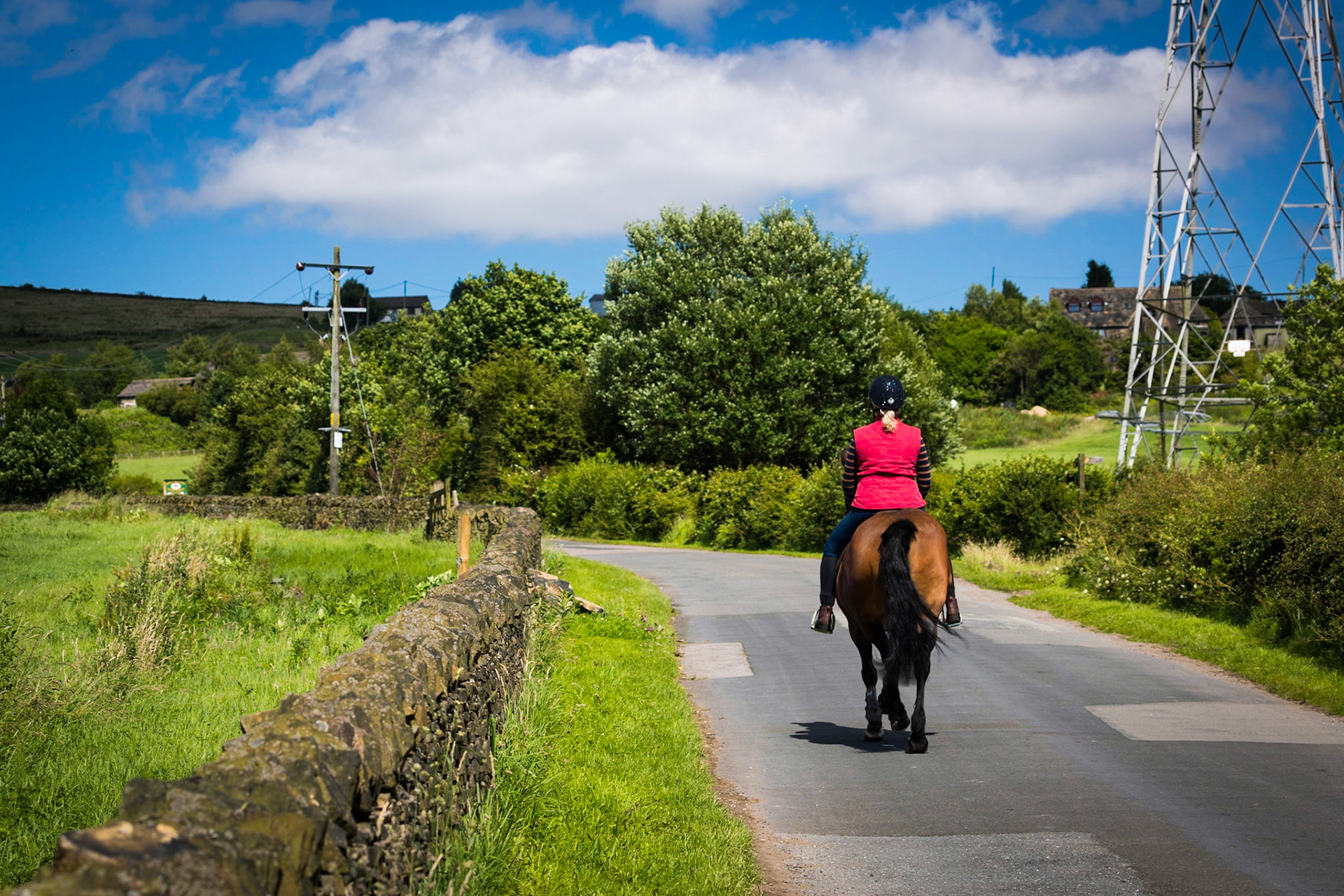 Horse Riding On Lily Lanes