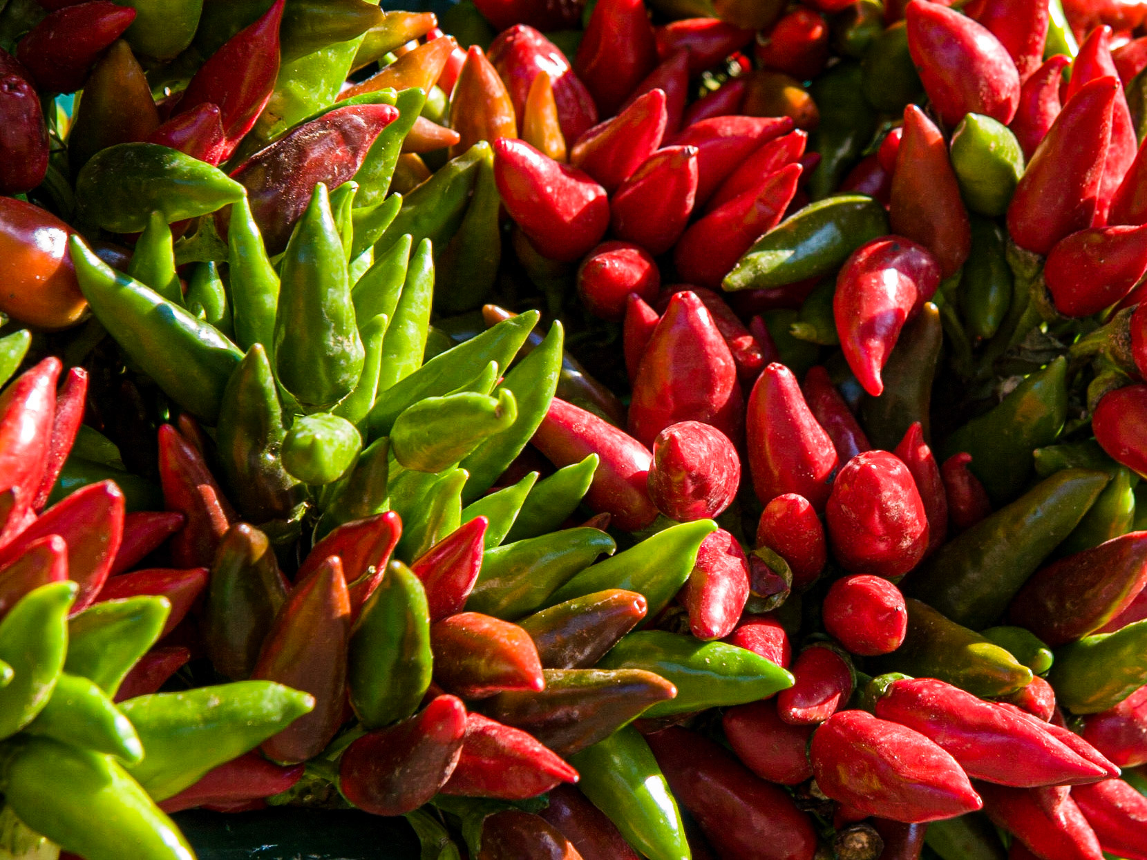 Chilli Peppers For Sale In Venice