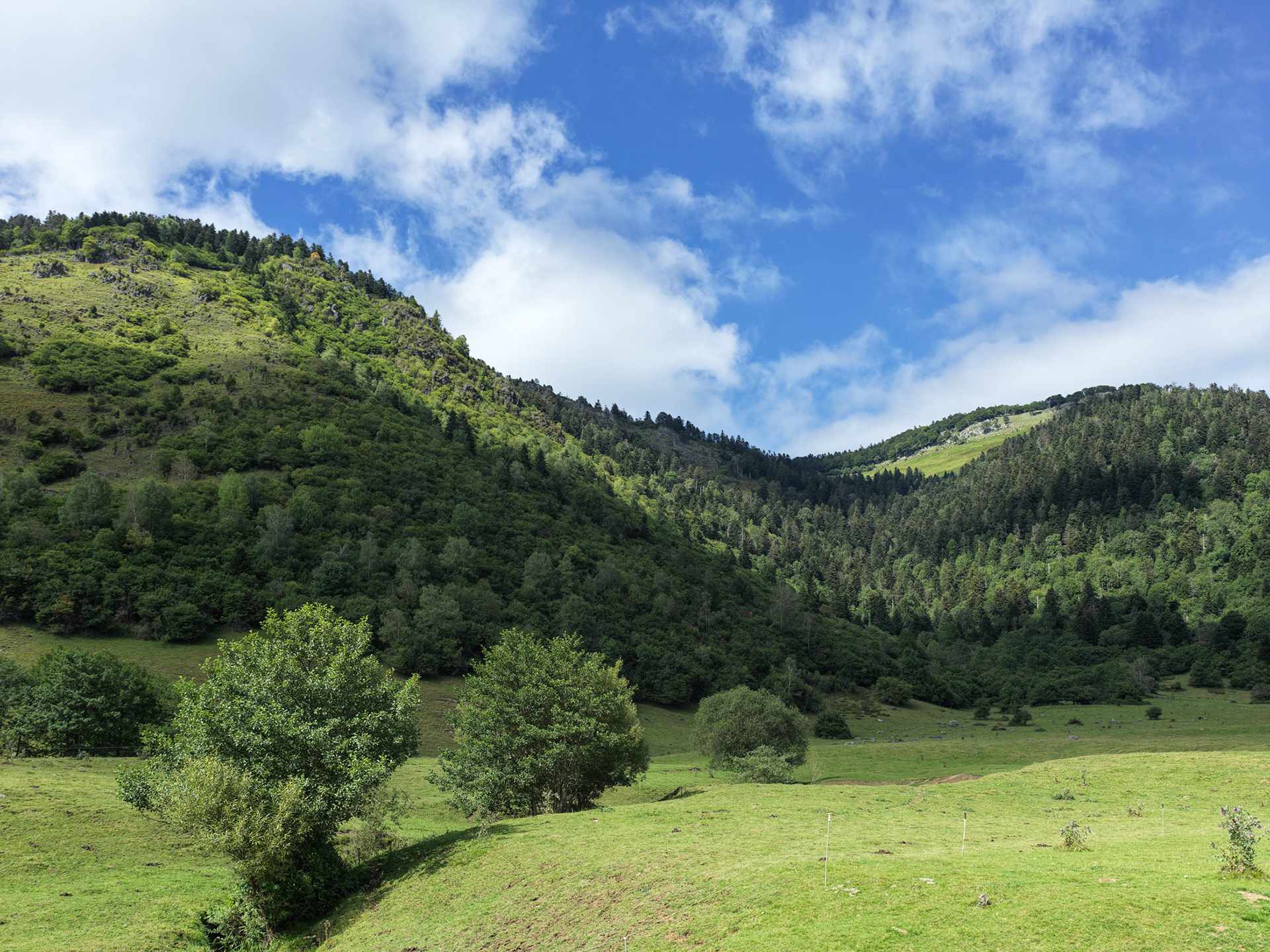 Plateau du Bénou, V