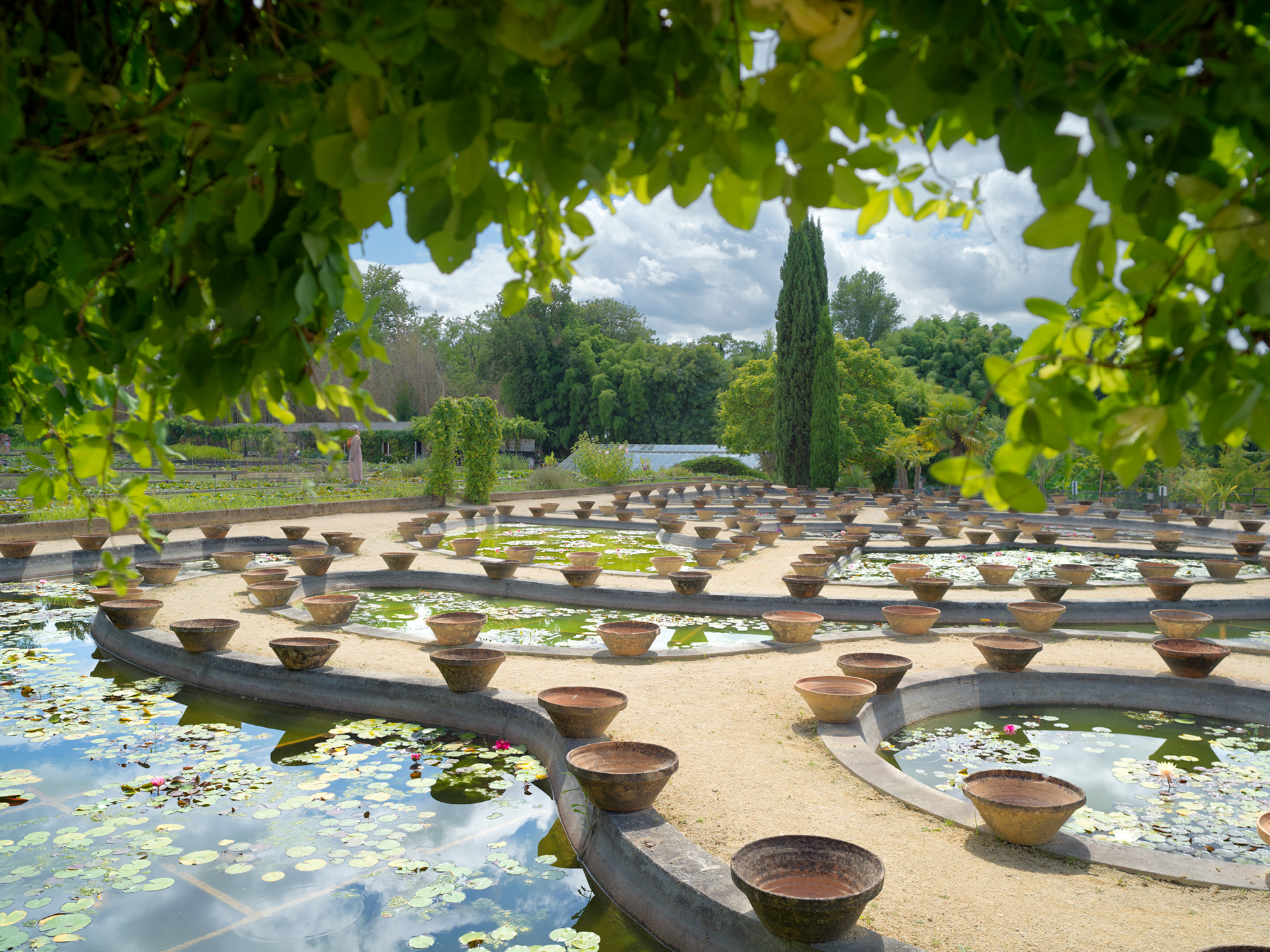 Pépinière historique Latour-Marliac, Le Temple sur Lot, IV