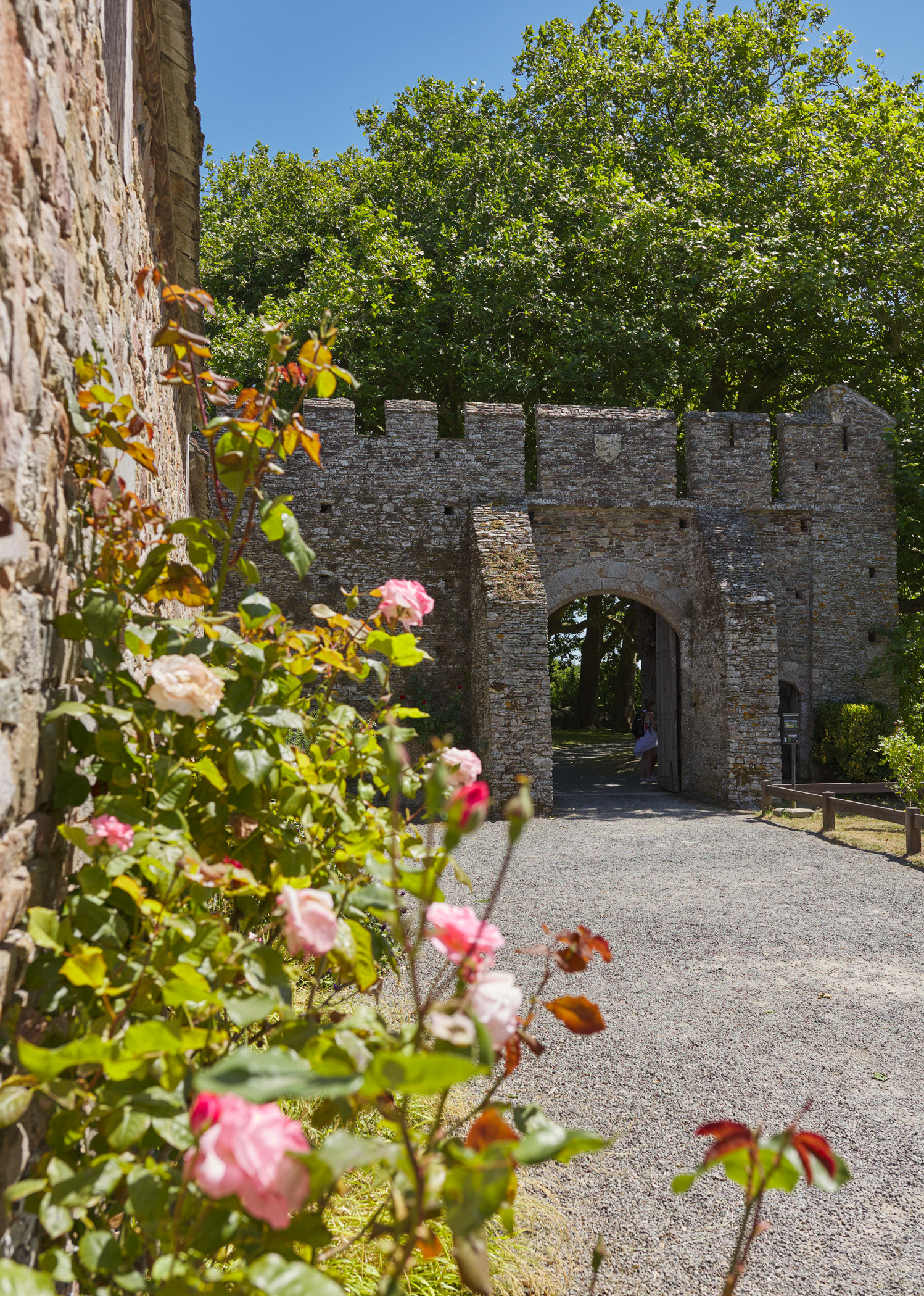 Château de Pirou, I