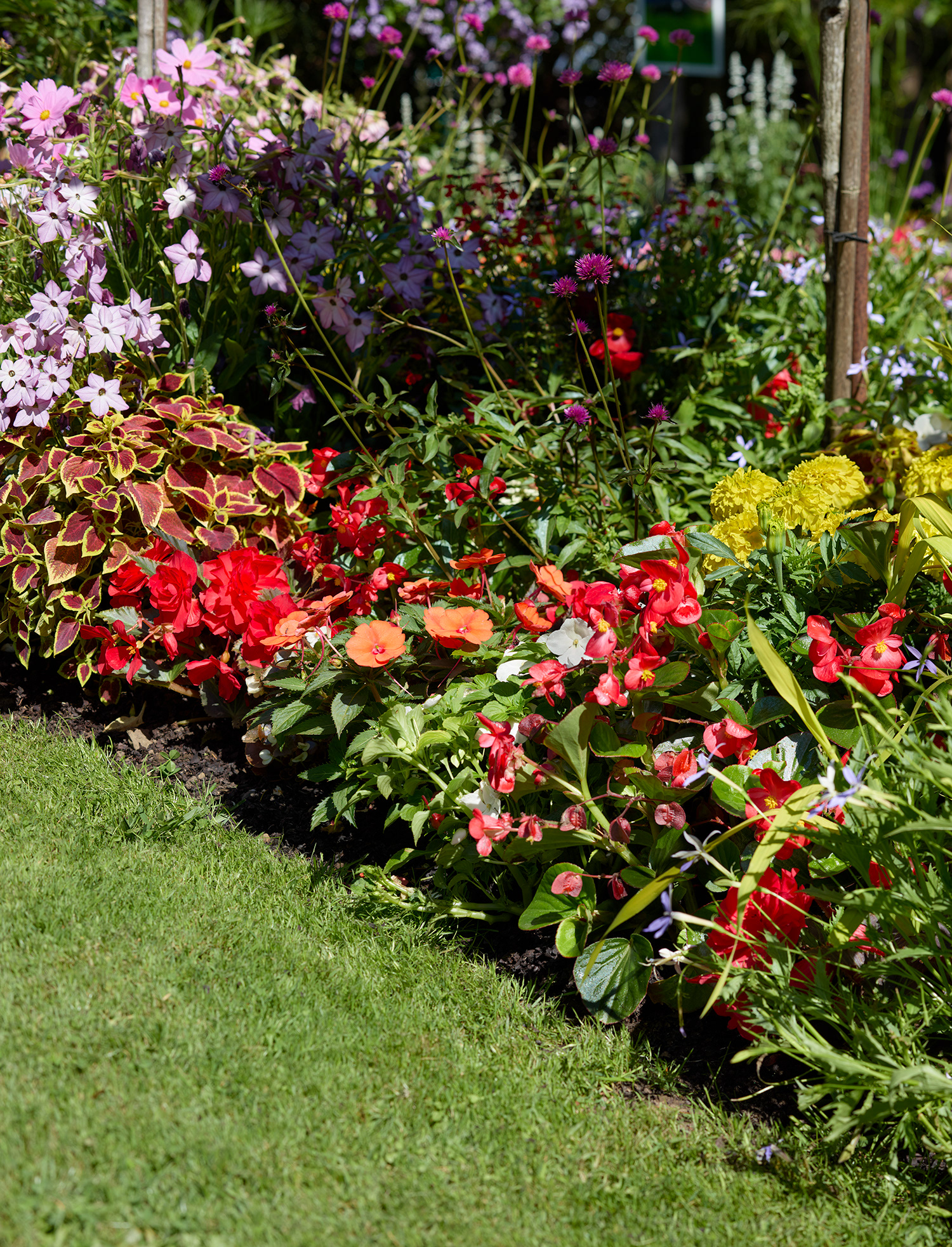 Granville, jardin Christian Dior, I