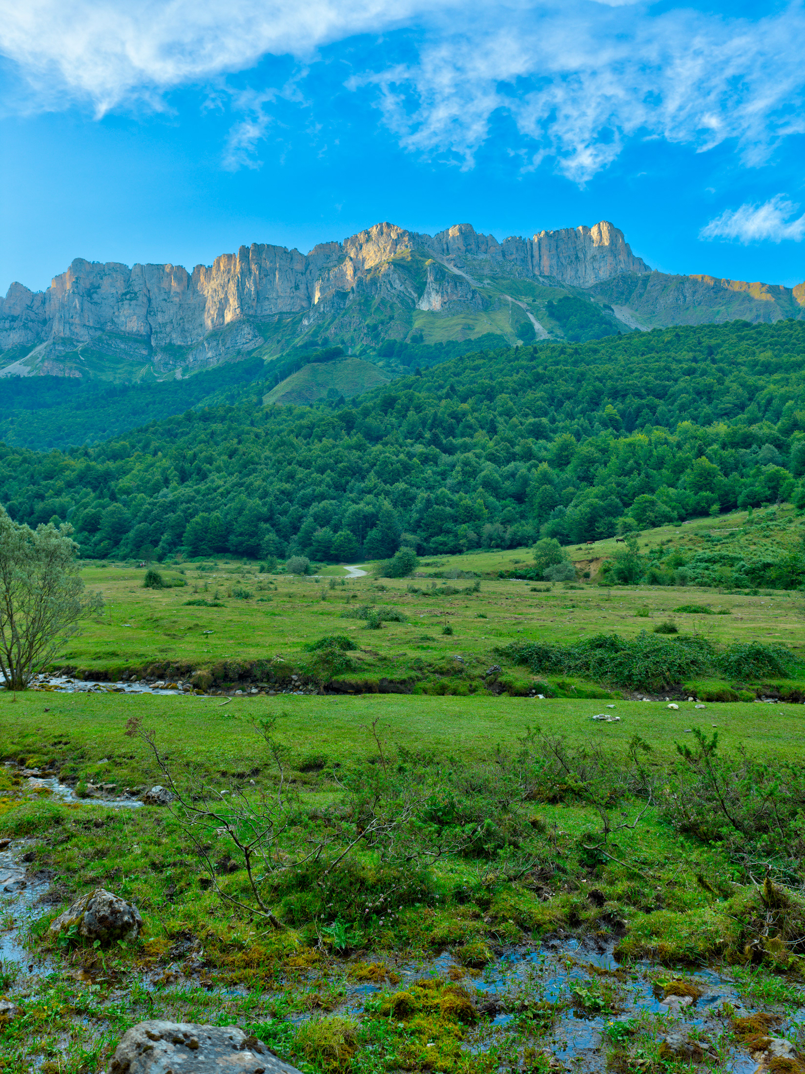 Plateau de Sanchèse, Lescun, vallée d'Aspe, I