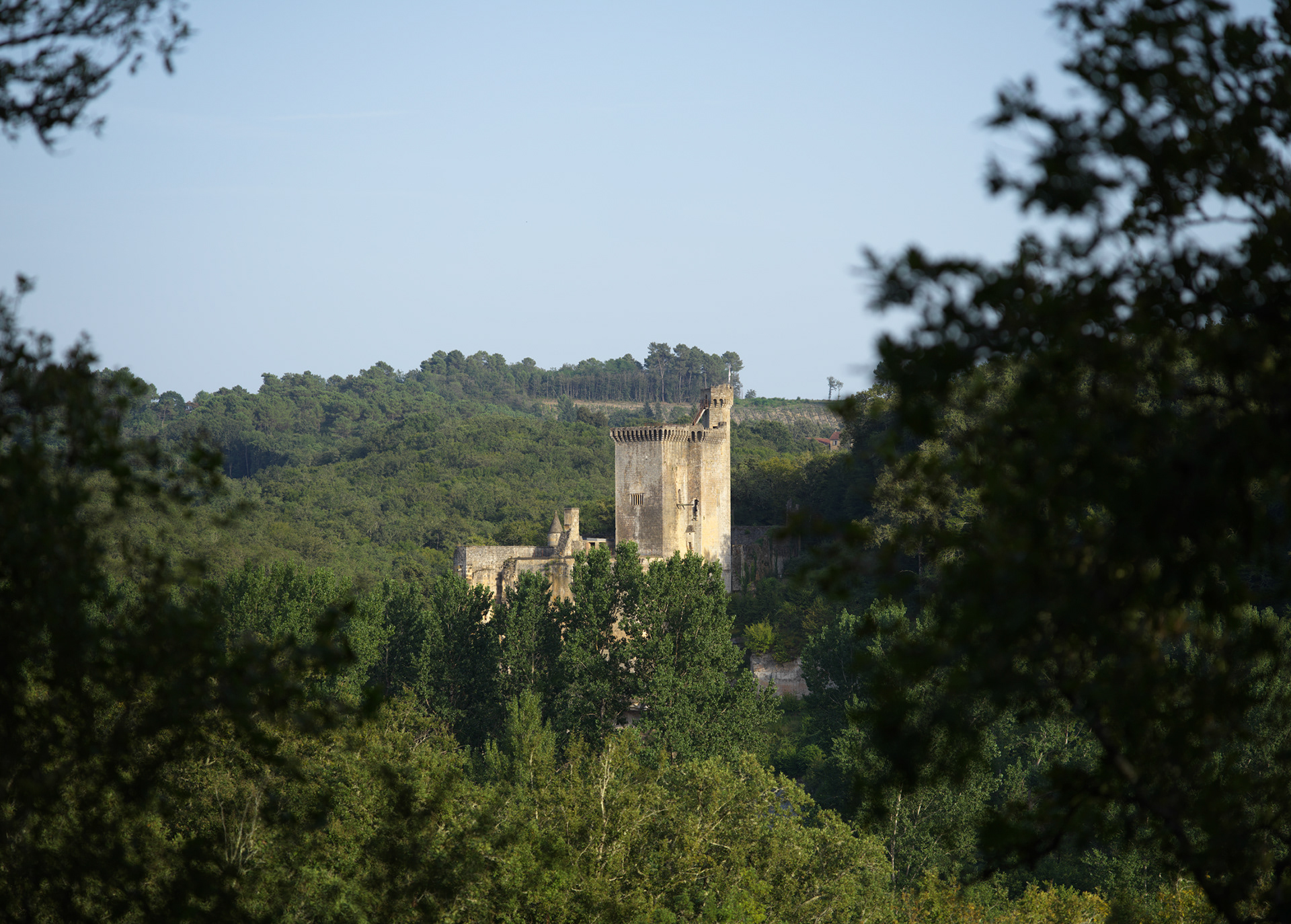 Château de Commarque