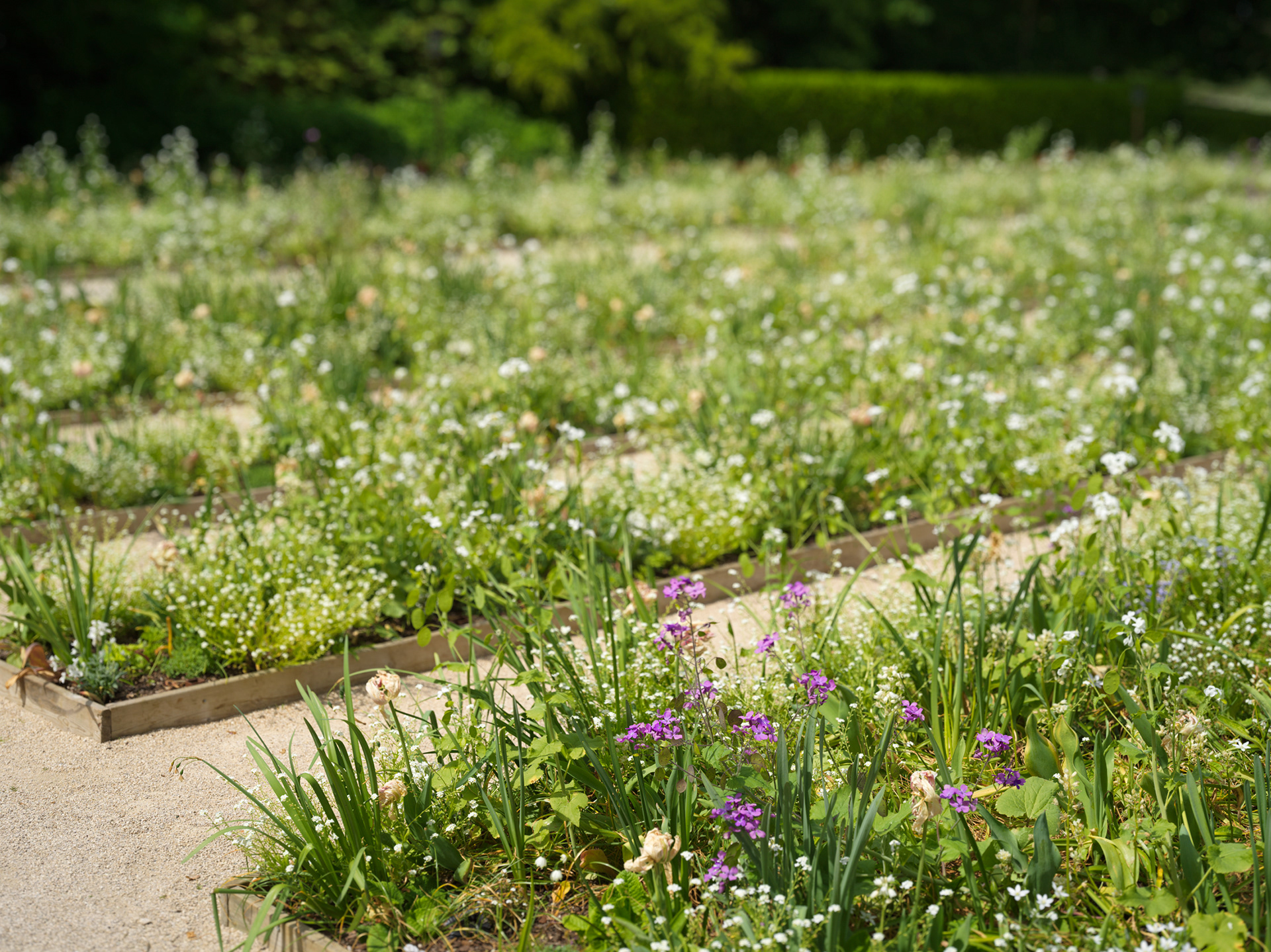 Jardin de Chaumont, VIII