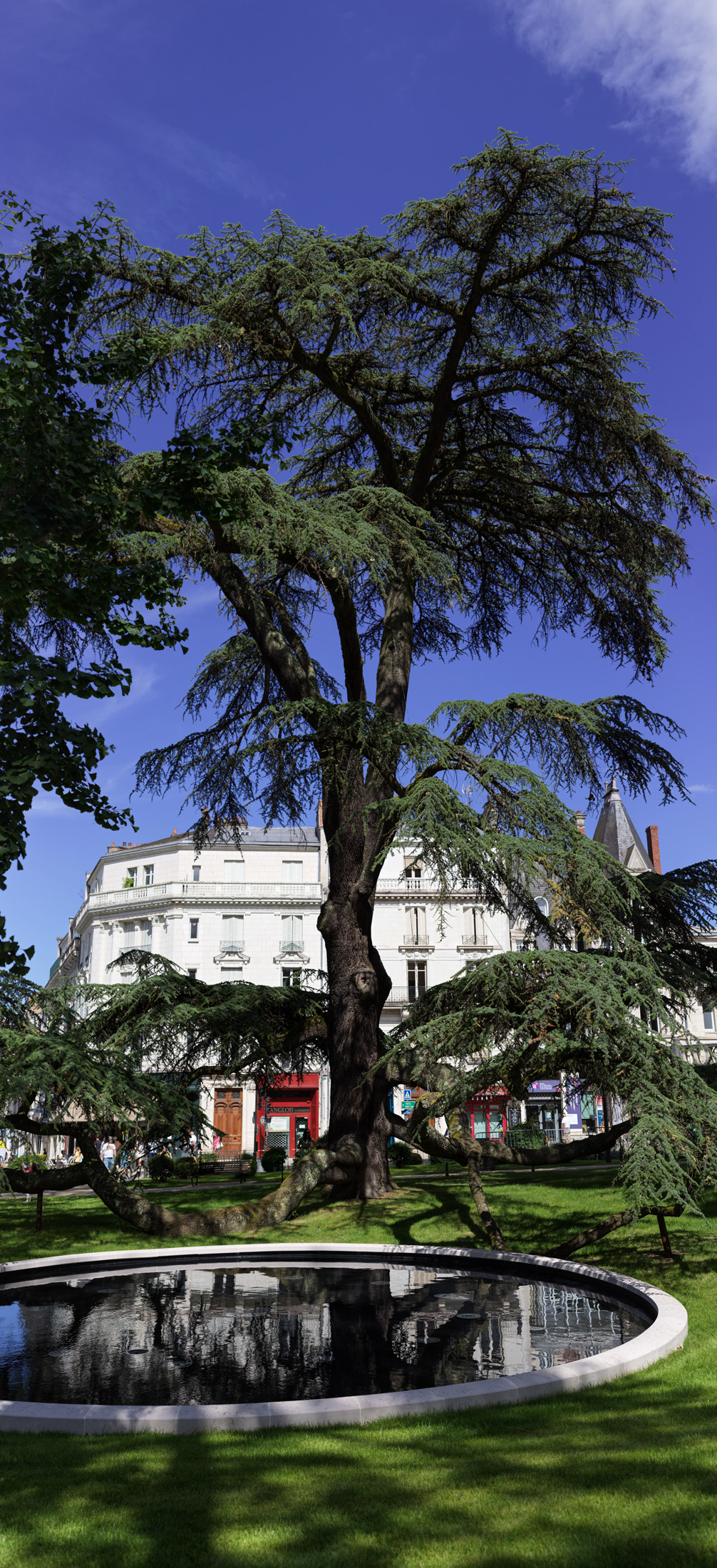 Jardin Augustin Thierry, arbre et eau