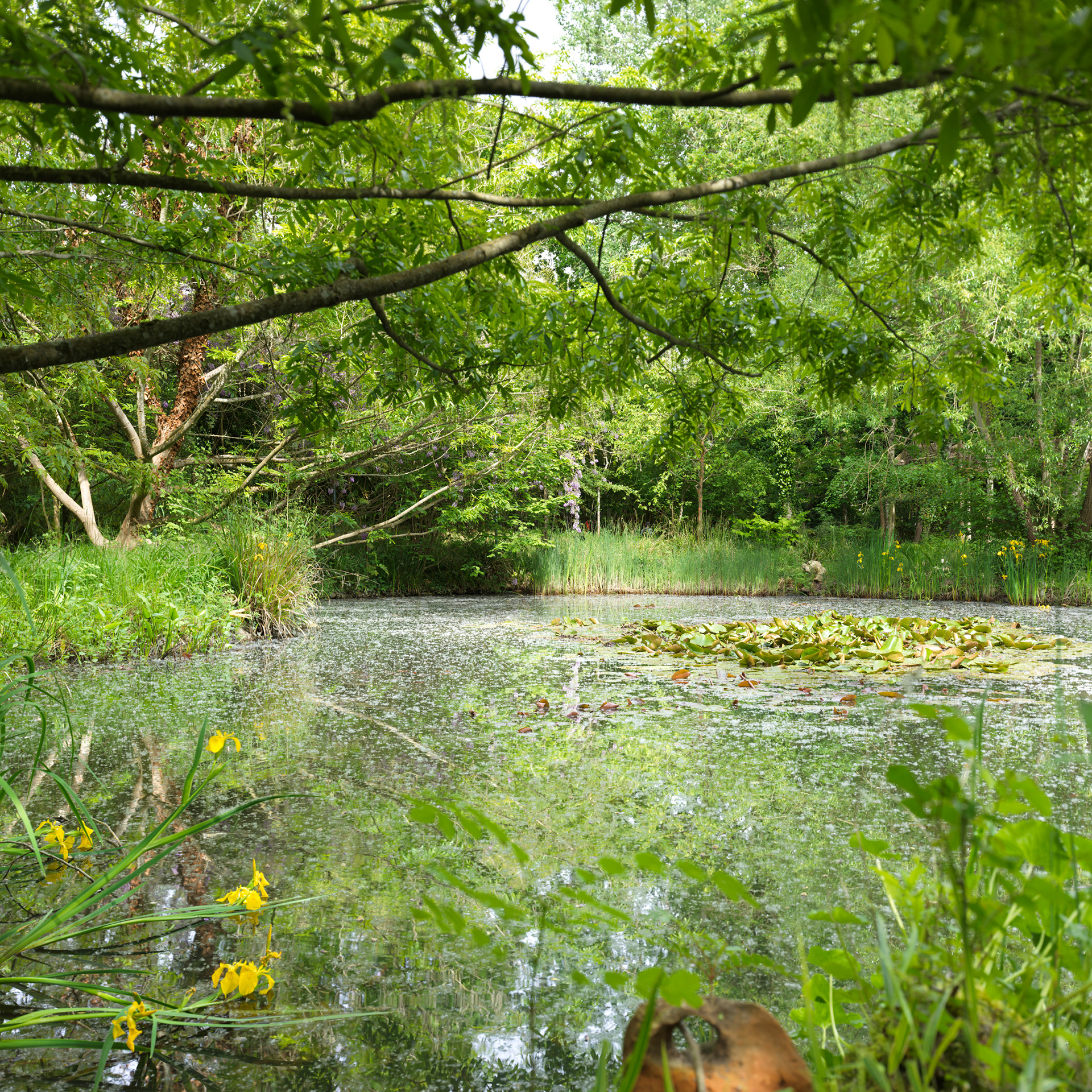 Jardin de Chaumont, II