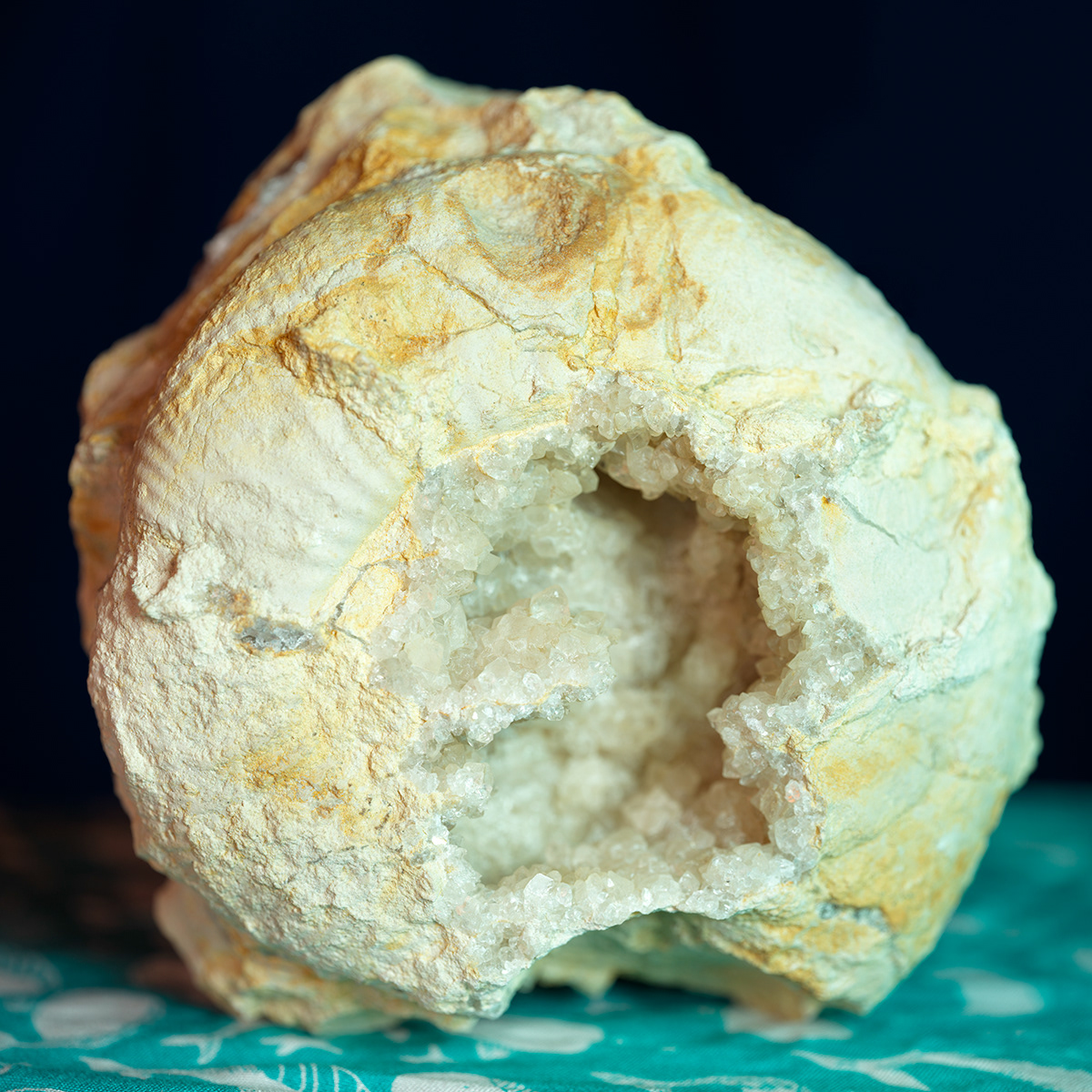 Ammonite et calcite de Blanzay, dans la Vienne.