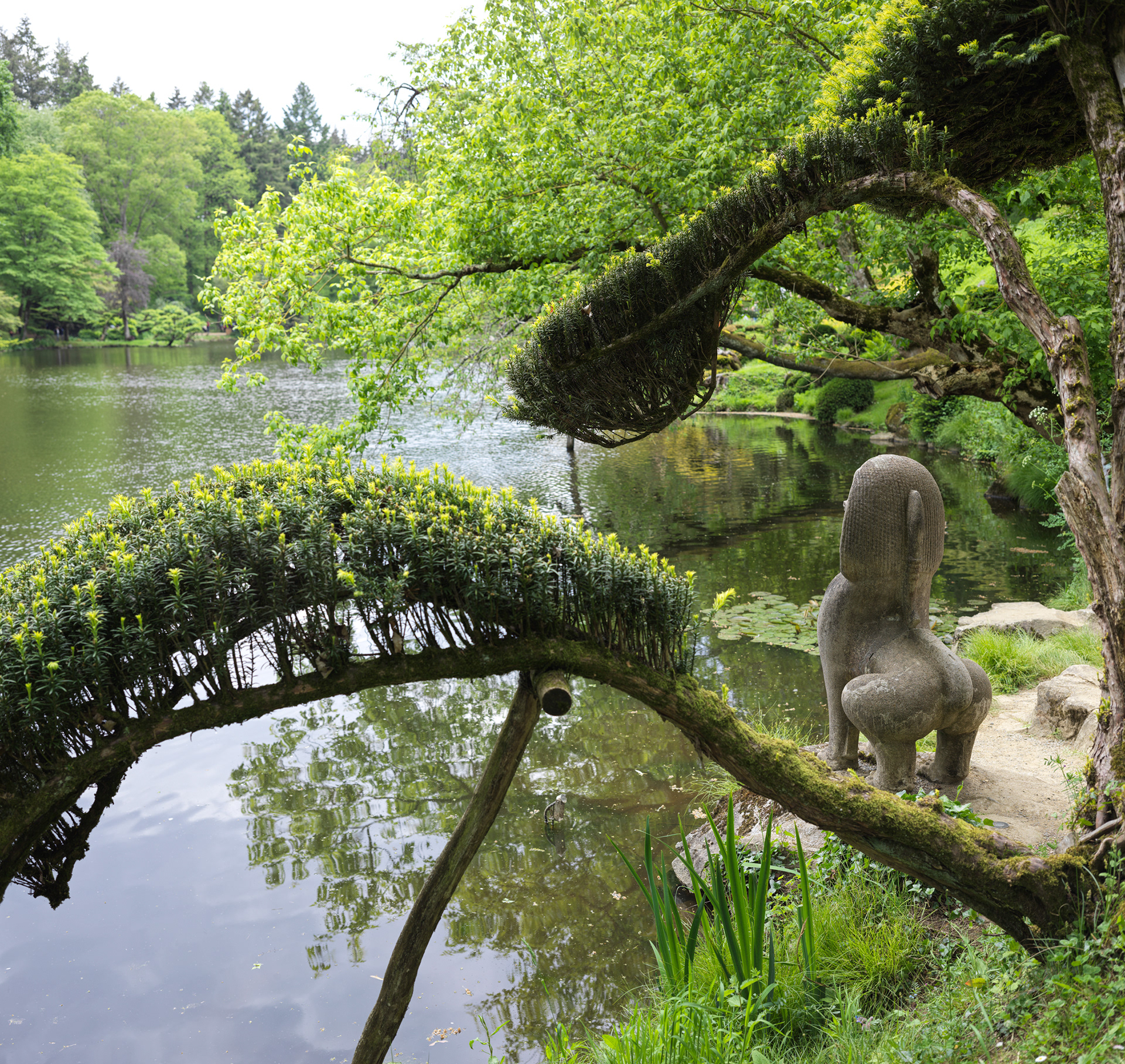 Jardin oriental de Maulévrier, III