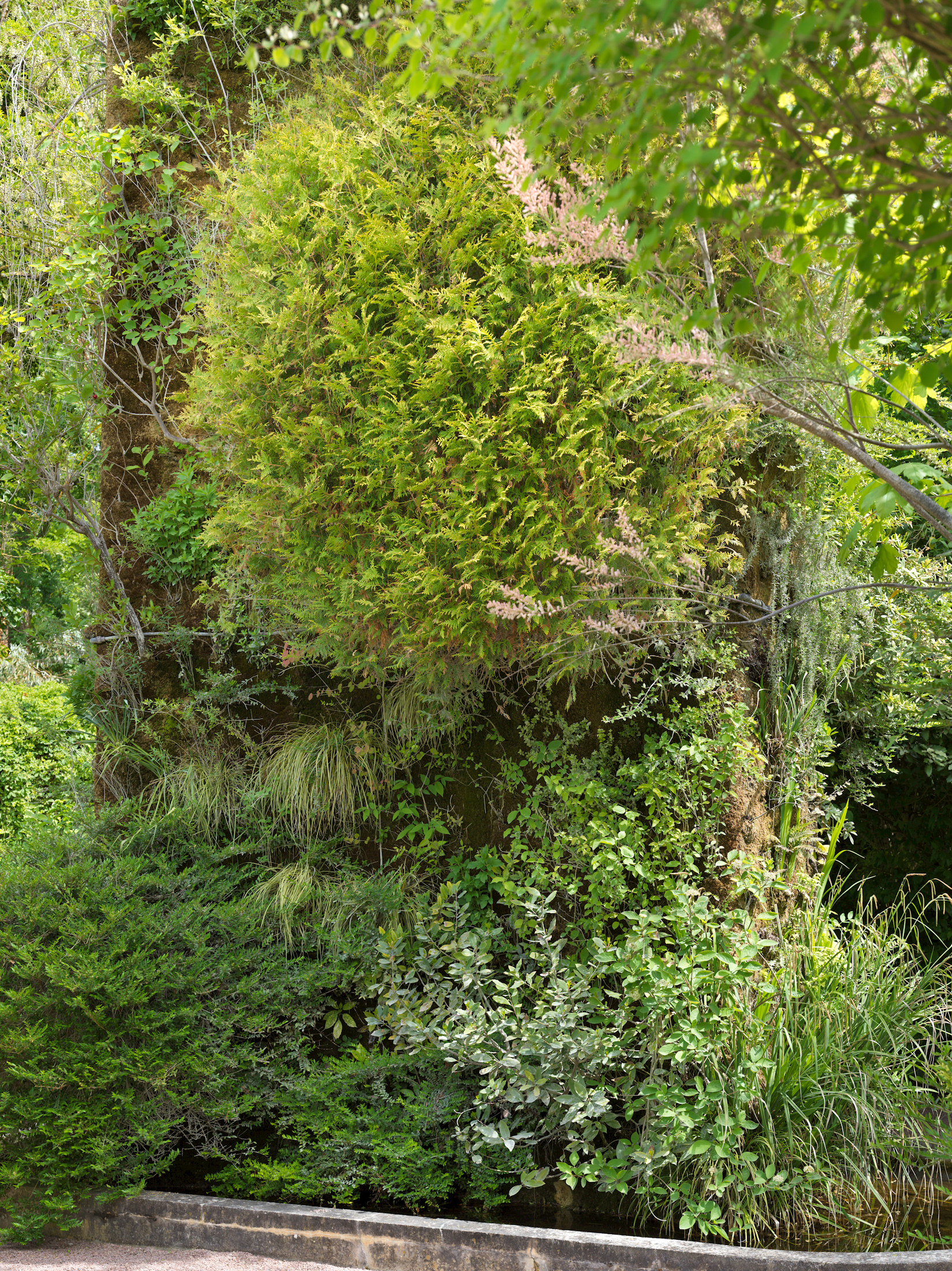 Jardin de Chaumont, X