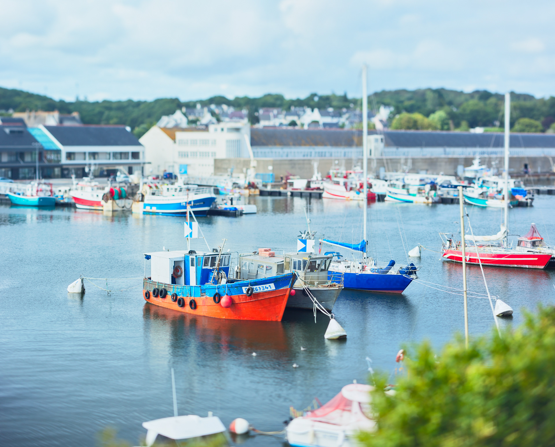 Concarneau, bâteaux de pêche, devant le quai de la criée