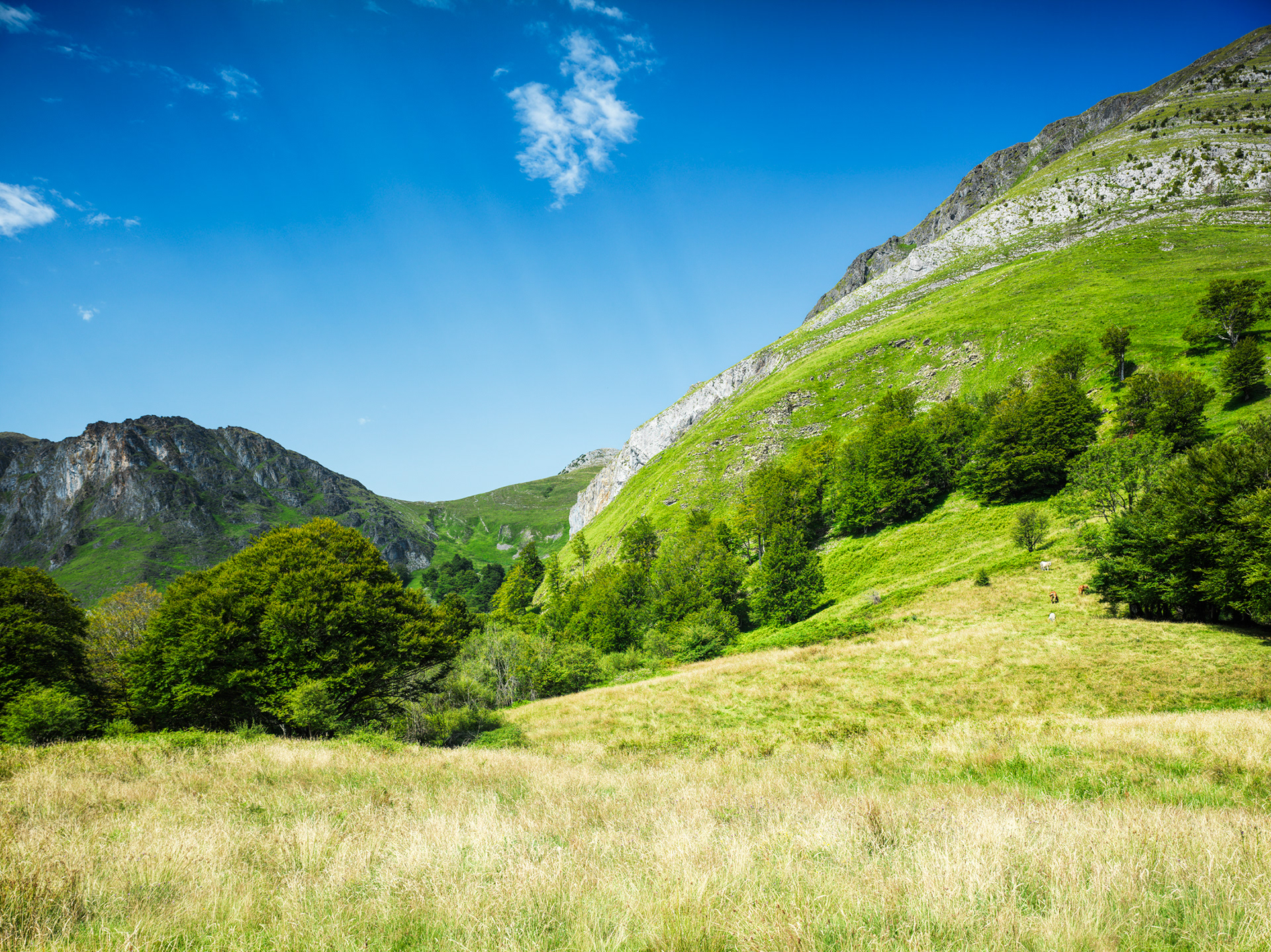 Vallée d'Aspe, vers Bedous, II
