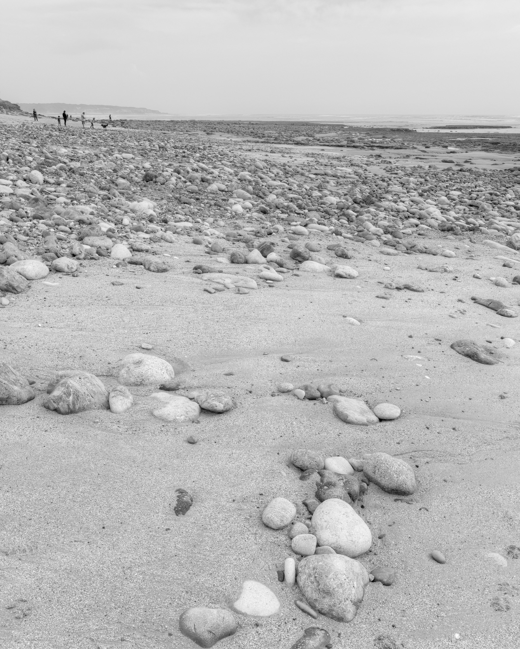 Côte près du port de Bourgenay, IX