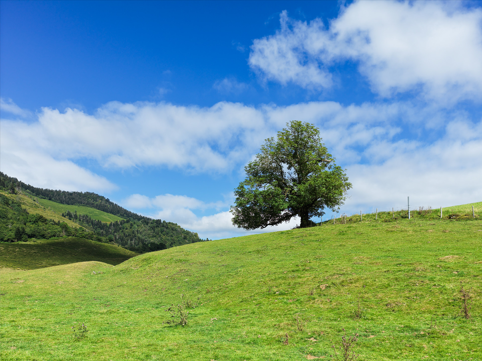 Plateau du Bénou, VI