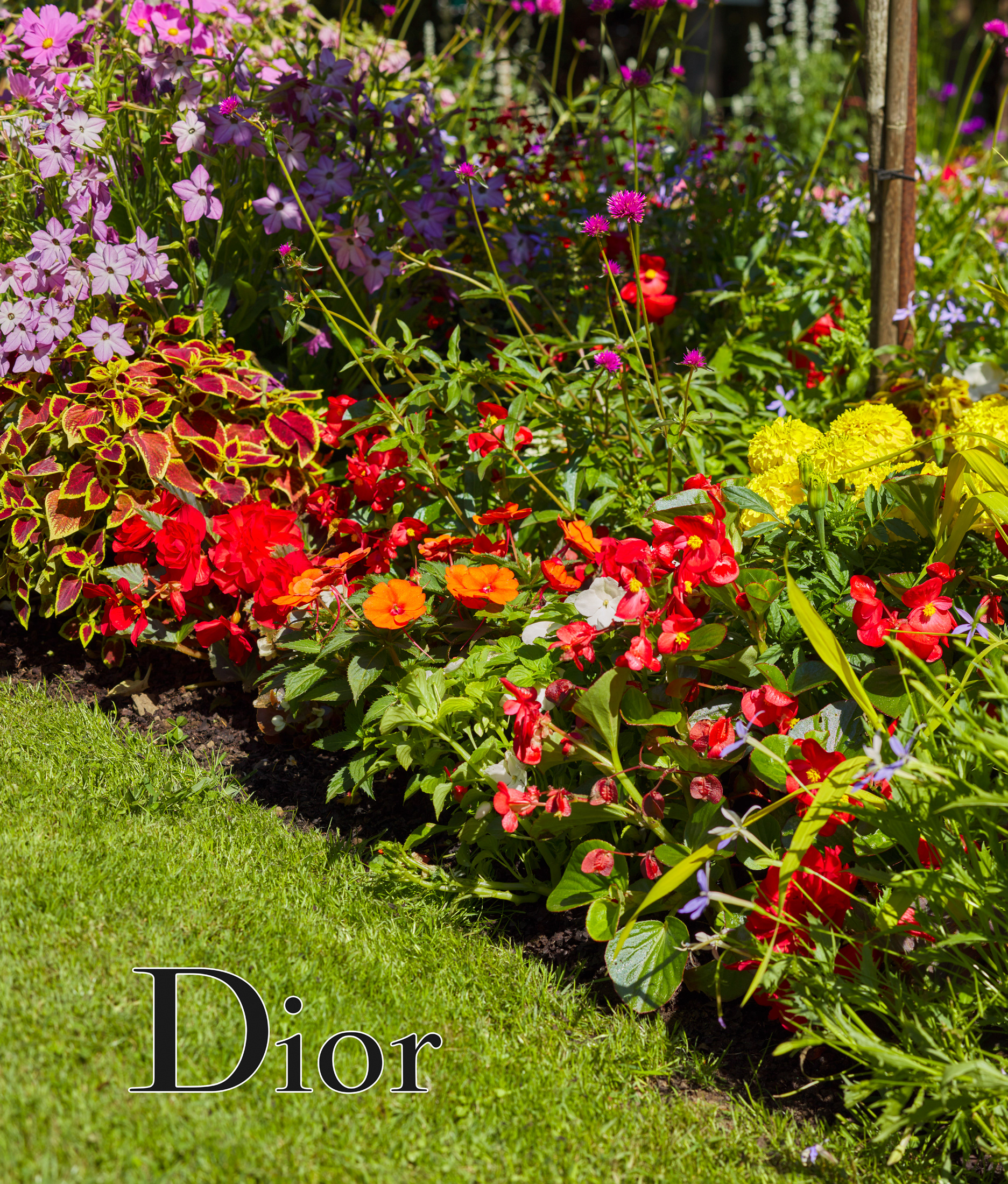 Granville, jardin Christian Dior, I