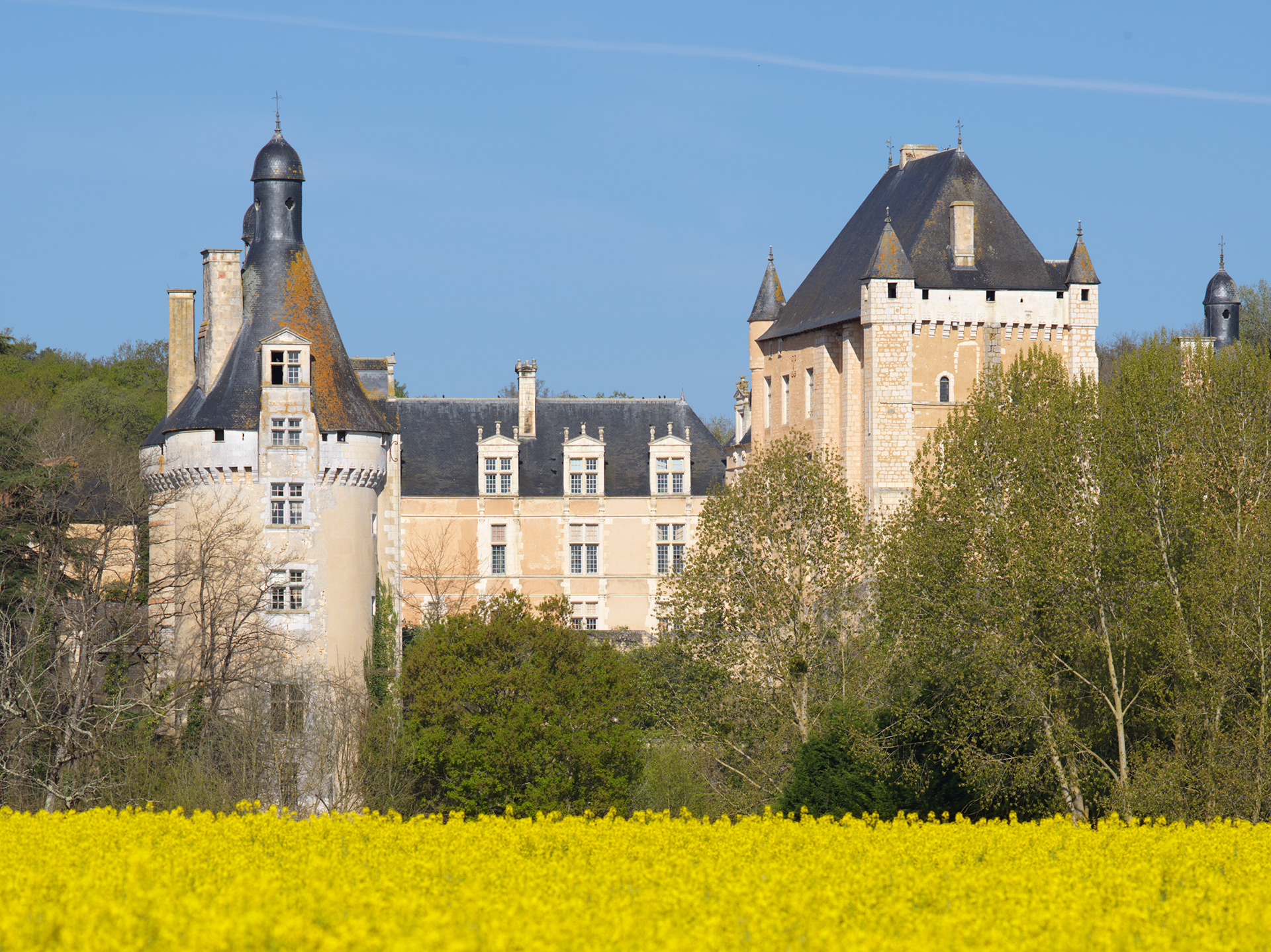 Château de Touffou, vue depuis un champ de colza IV