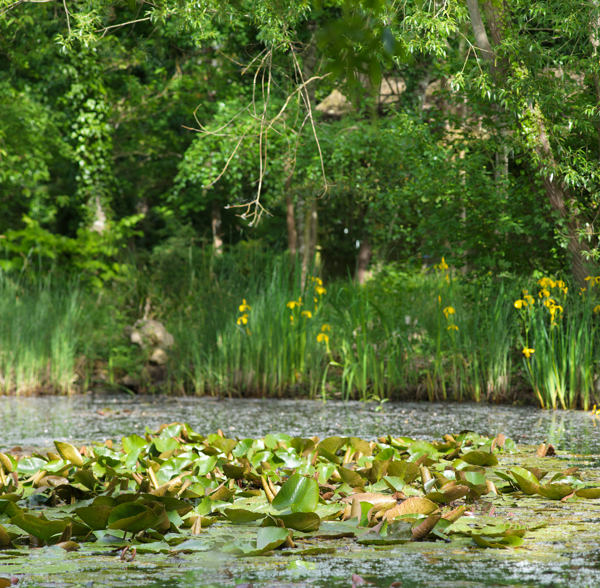 Jardin de Chaumont, III