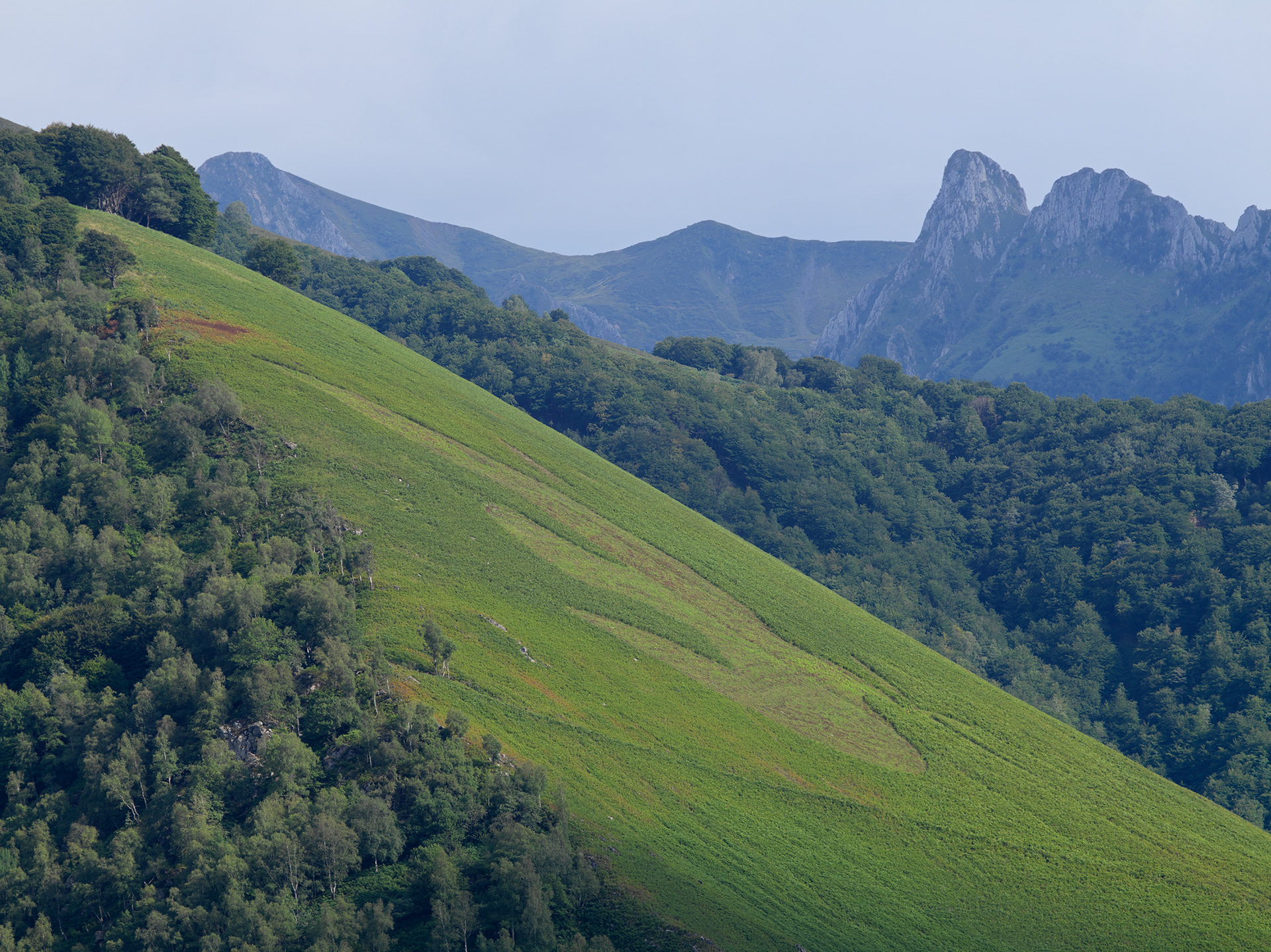 Vallée d'Aspe, vers Bedous, VI